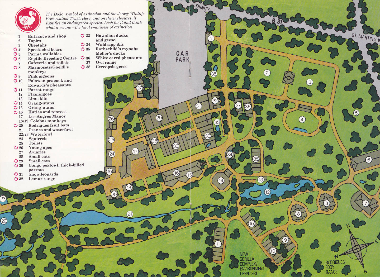 Zoo Map, 1981