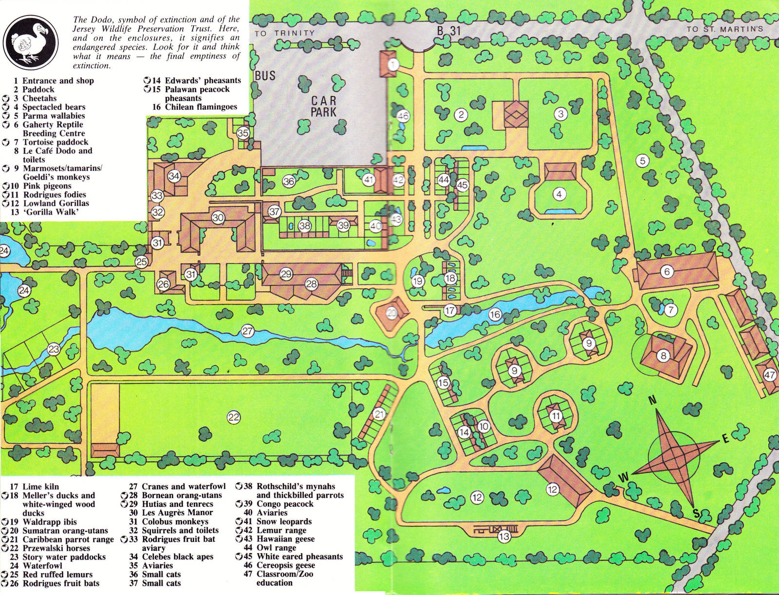 Zoo Map, 1983