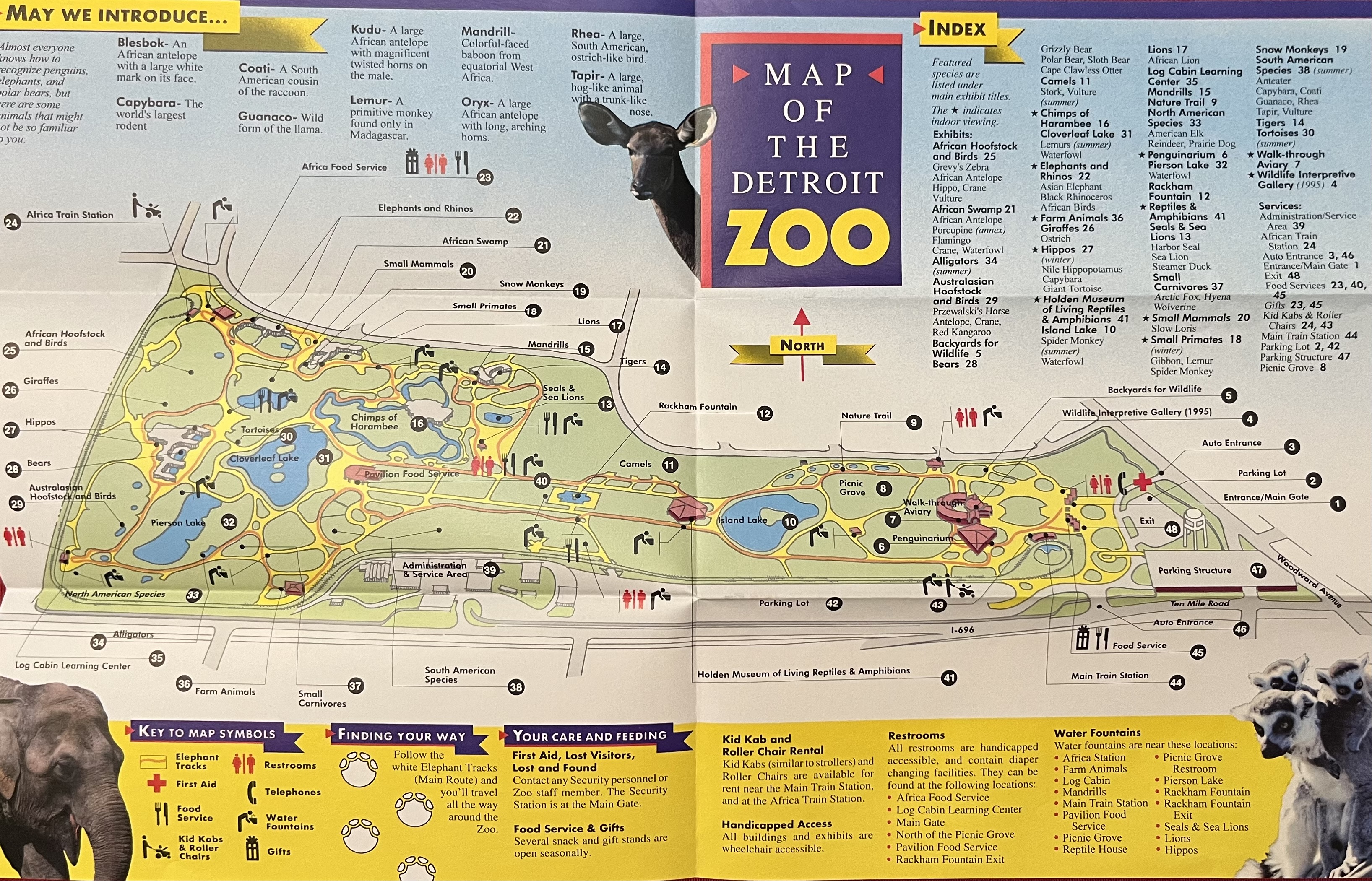 Zoo Map - 1995