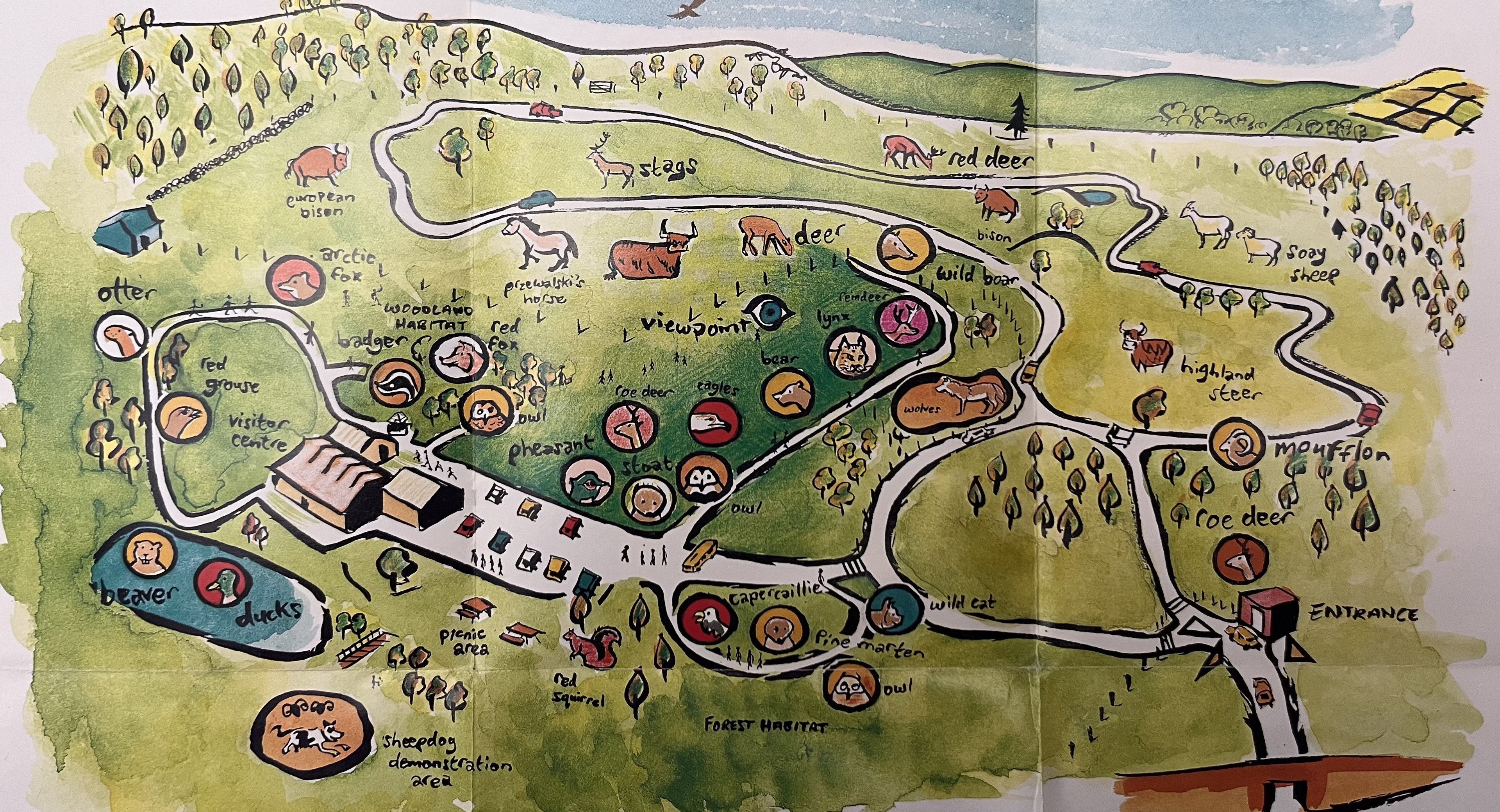 Zoo Map - 1996