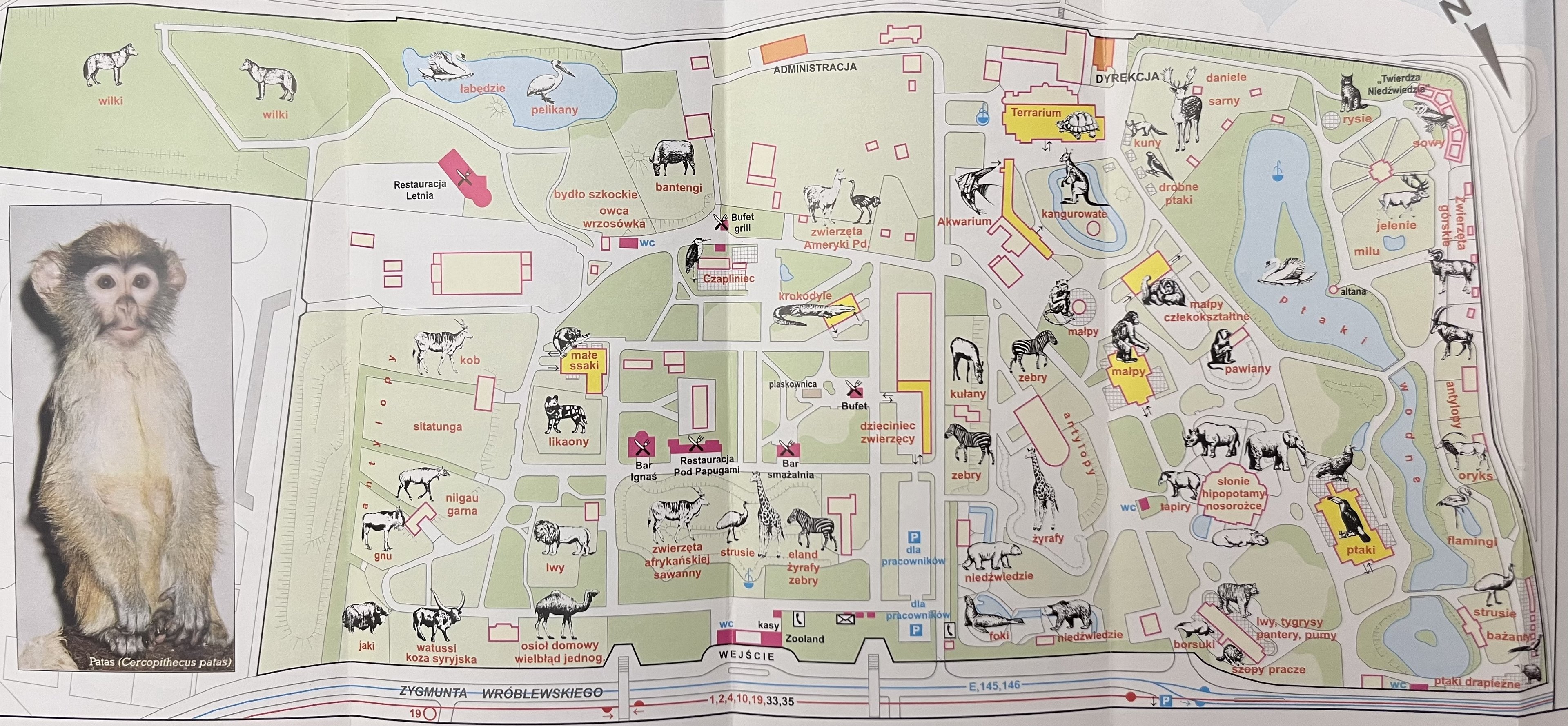Zoo Map - 2000