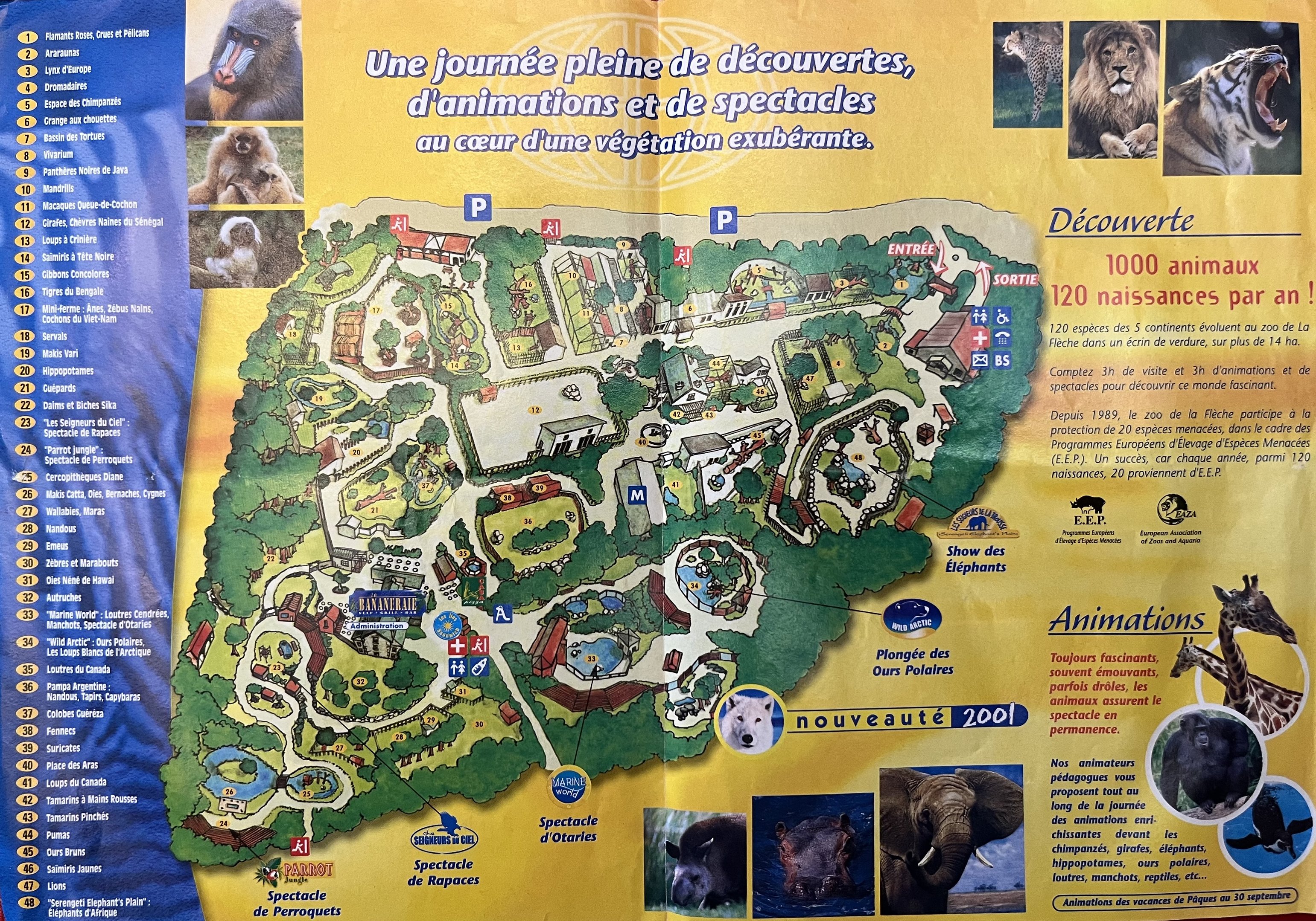 Zoo Map - 2001