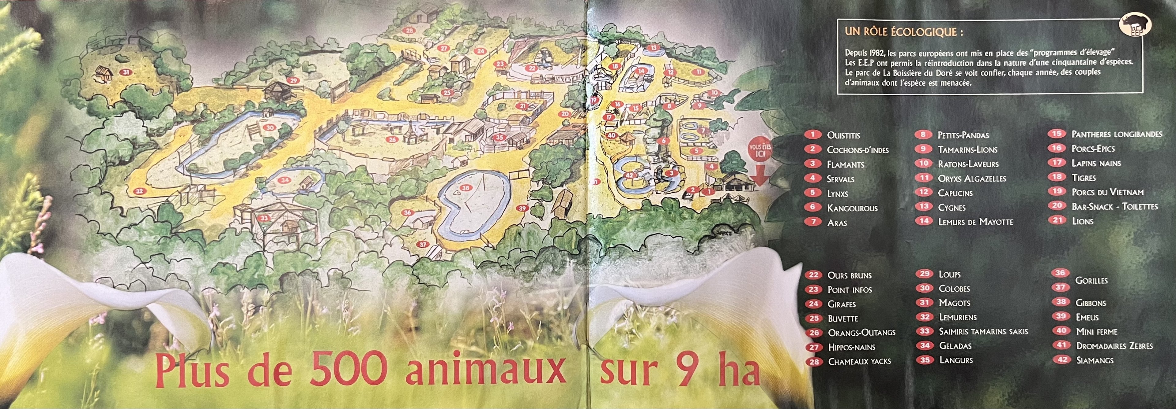 Zoo Map - 2002