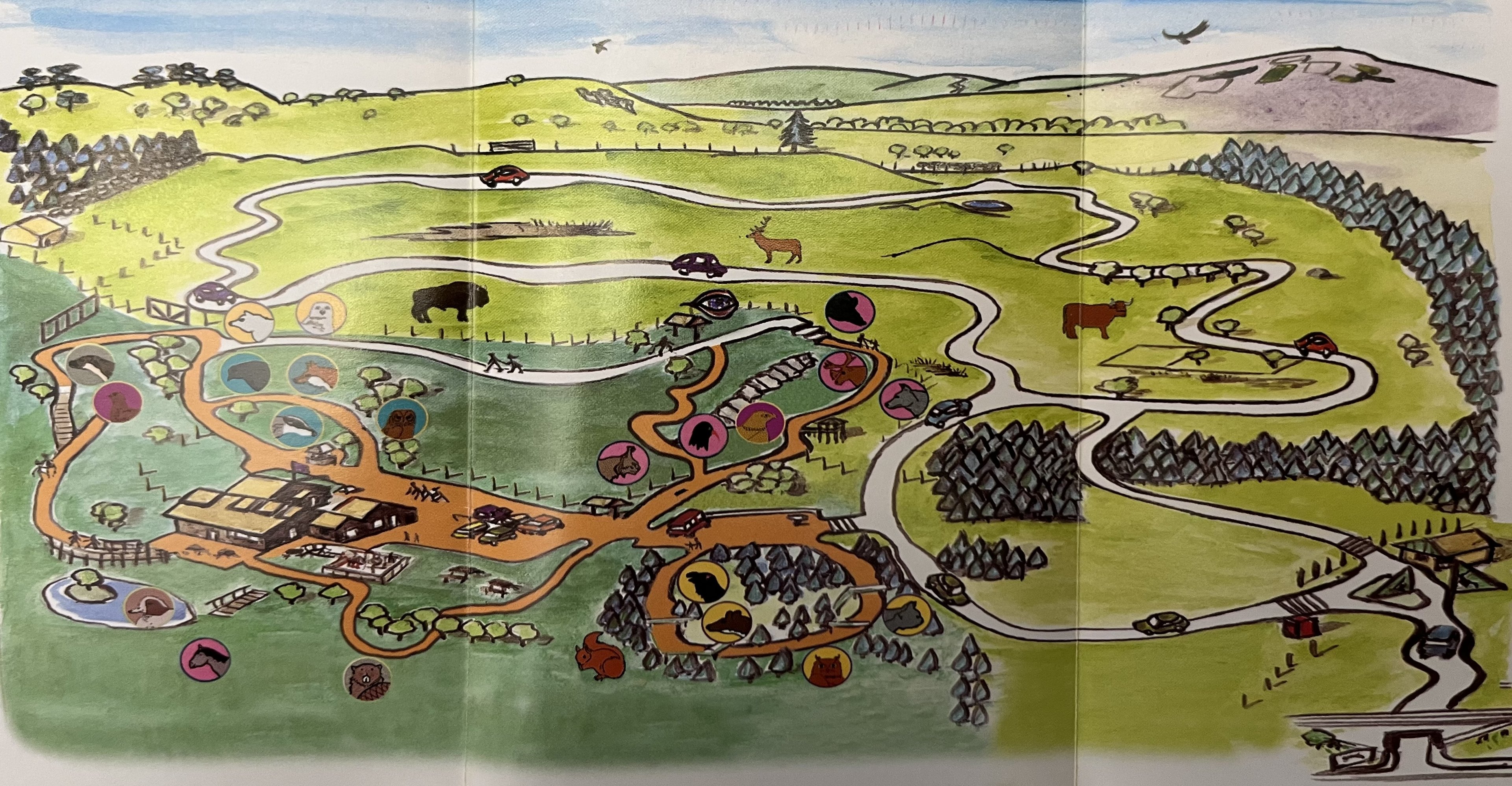 Zoo Map - 2002