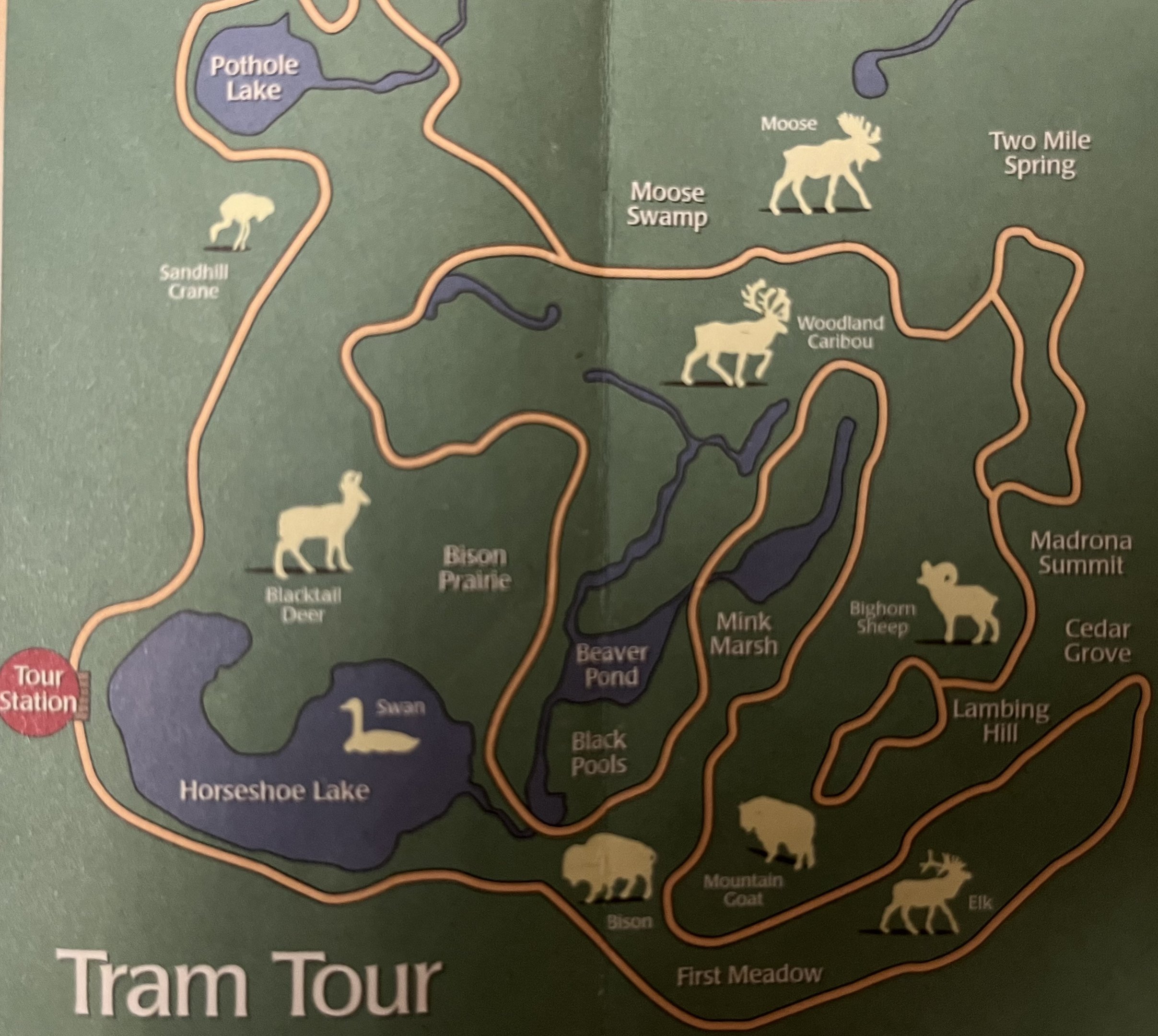 Zoo Map - 2005 (Tram Tour)