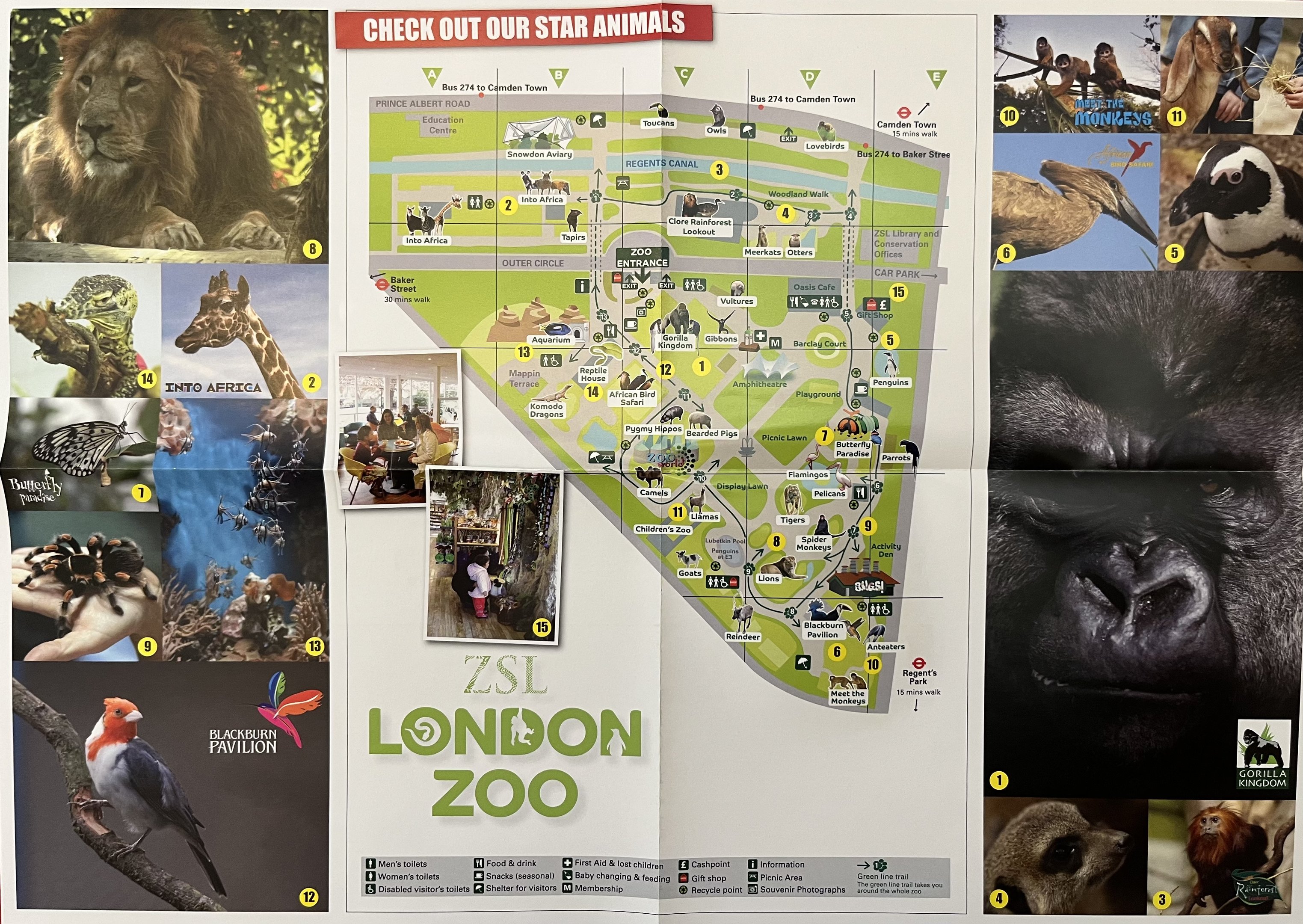 Zoo Map - 2007