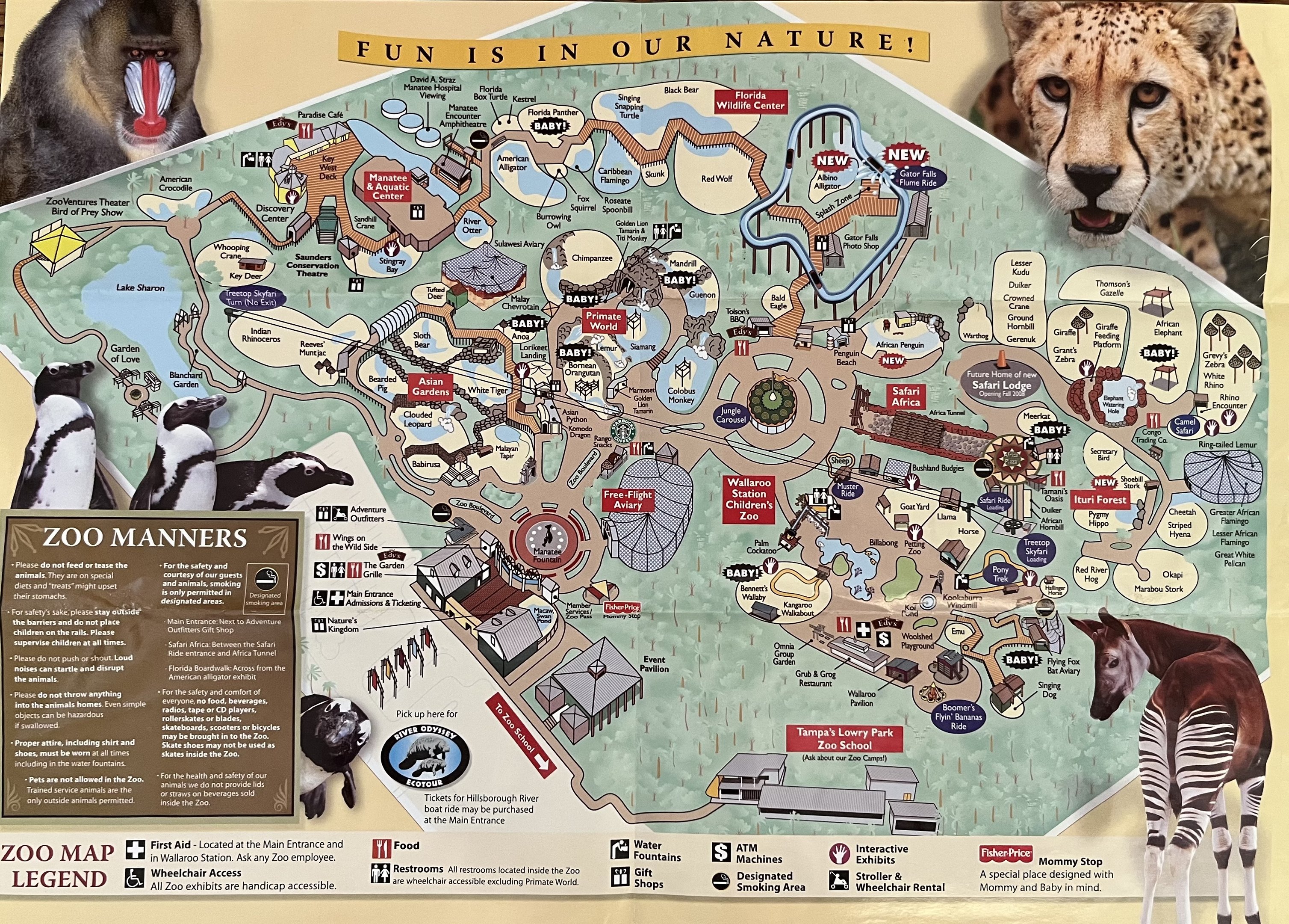 Zoo Map - 2008