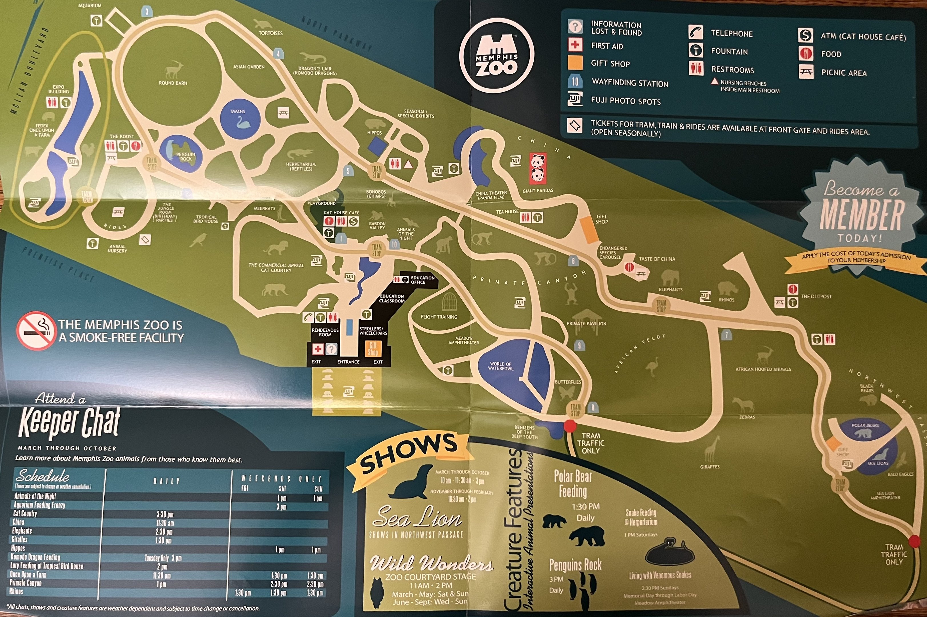 Zoo Map - 2008
