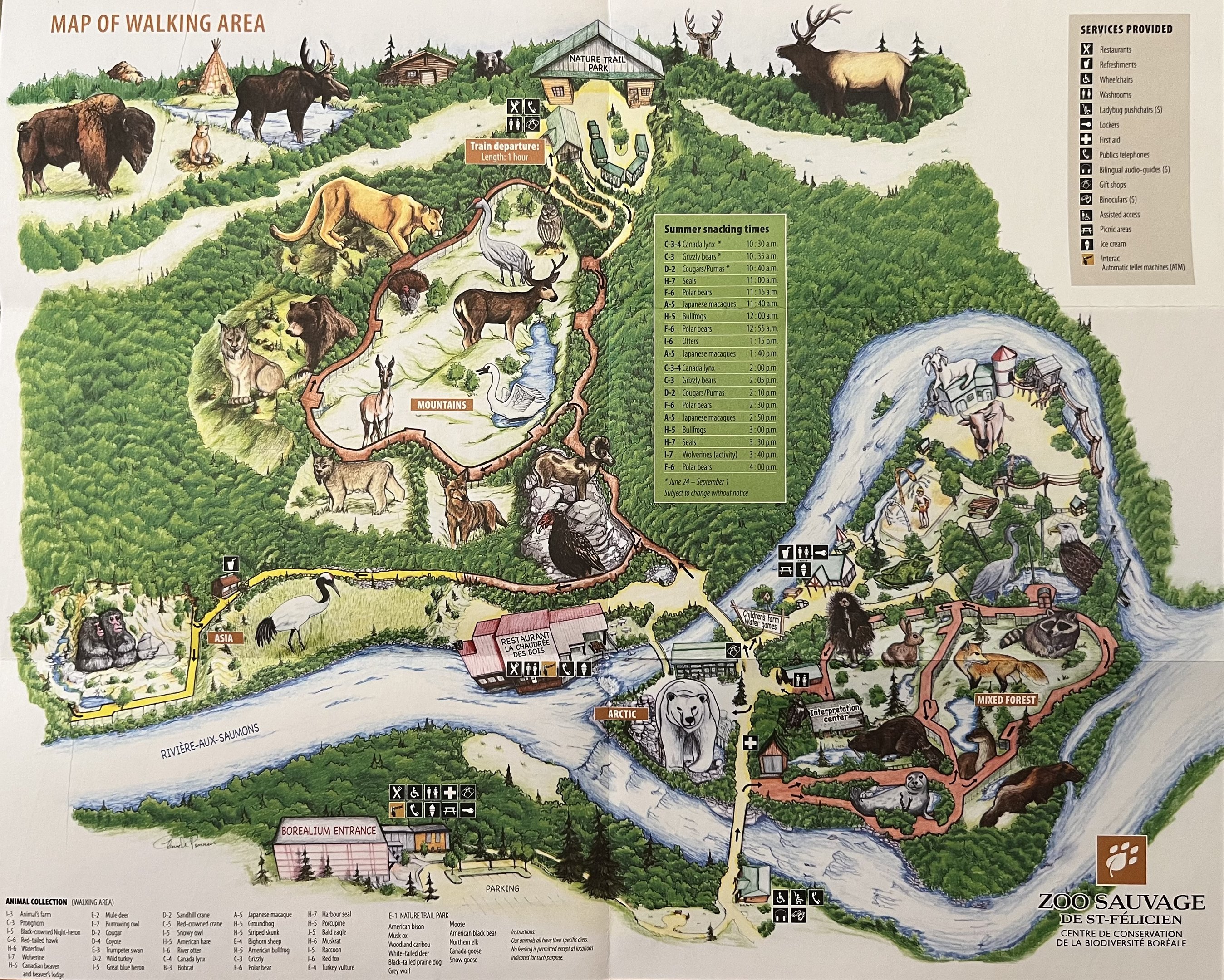 Zoo Map - 2008