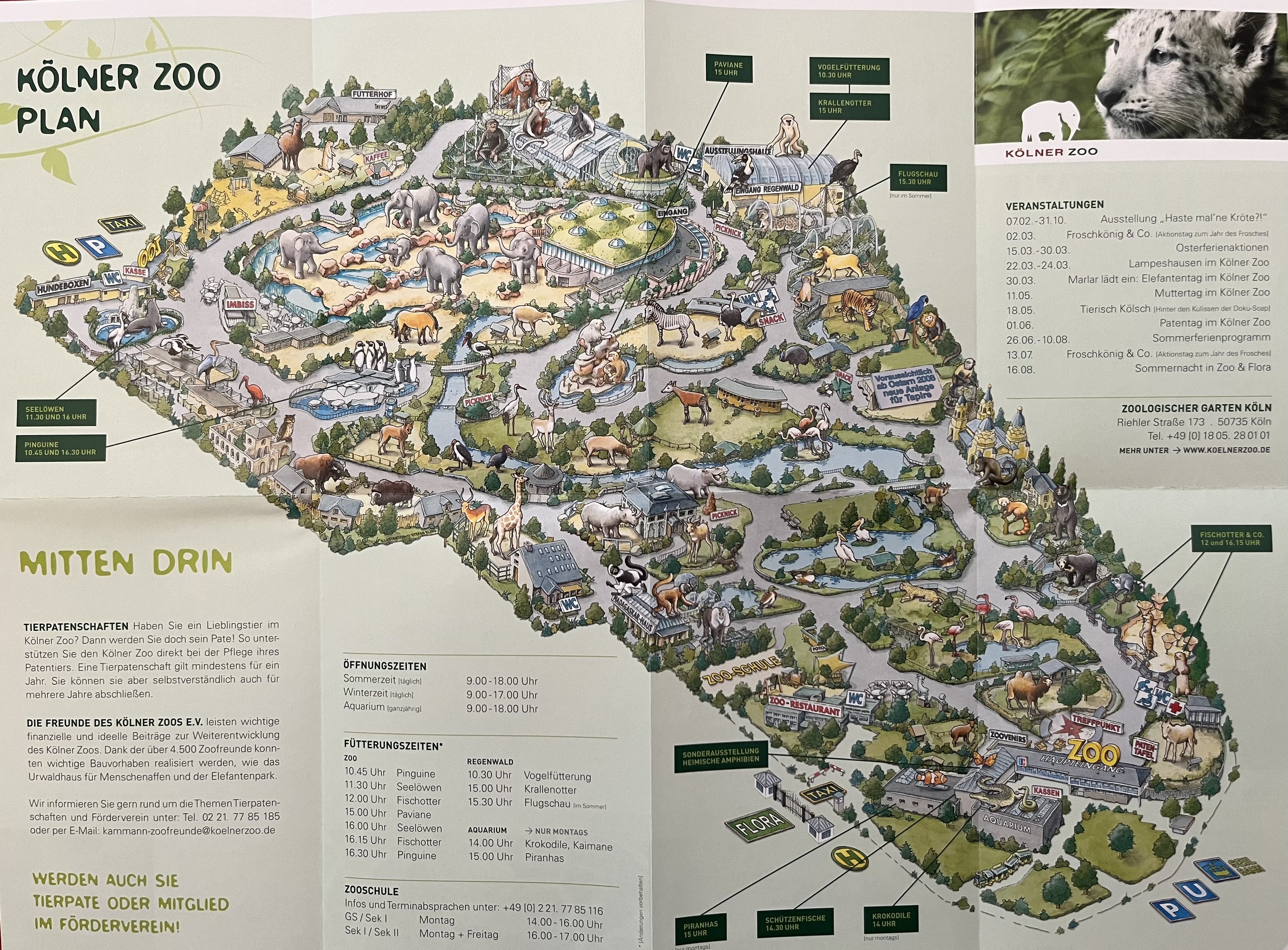 Zoo Map - 2008
