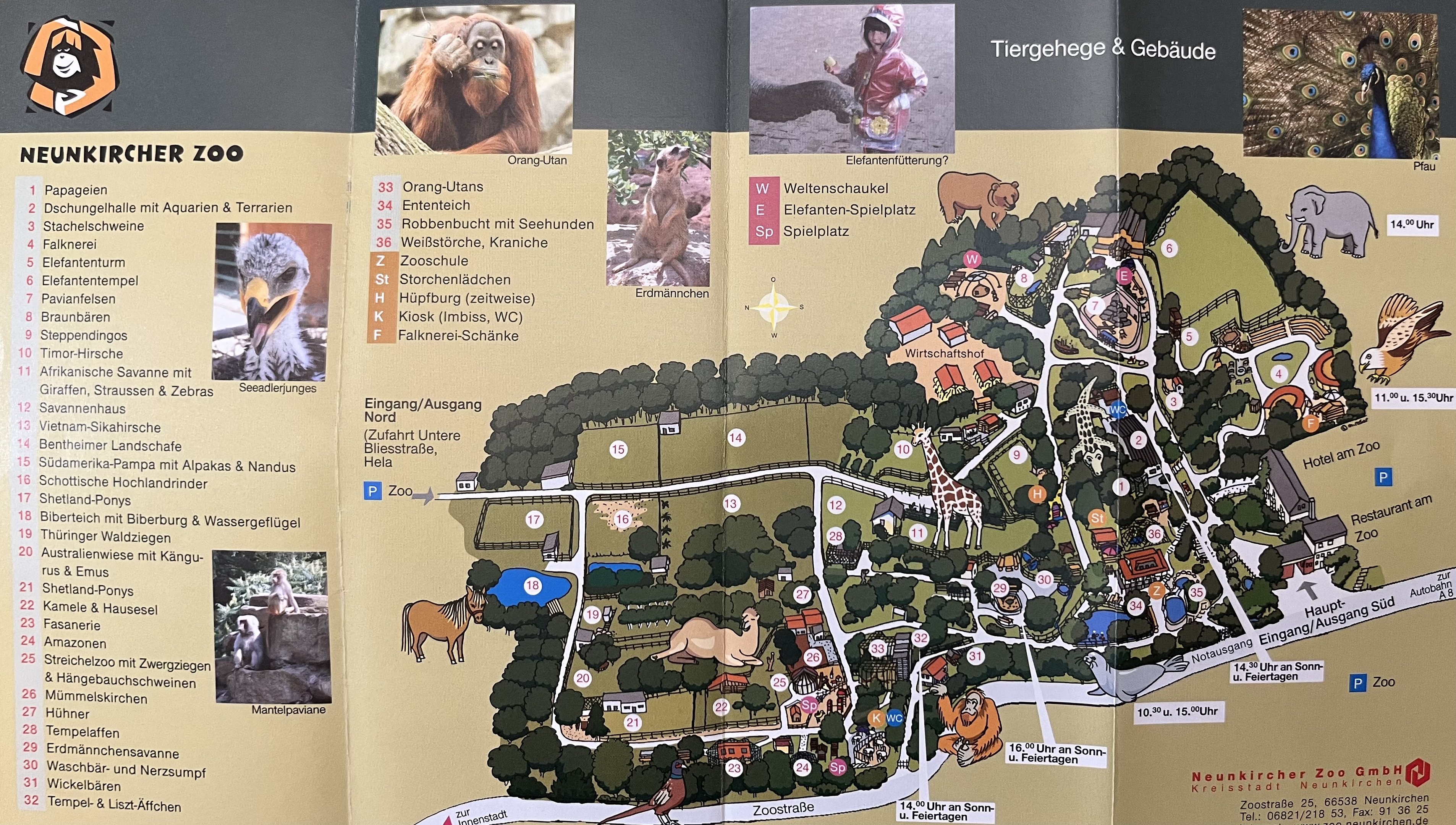 Zoo Map - 2008