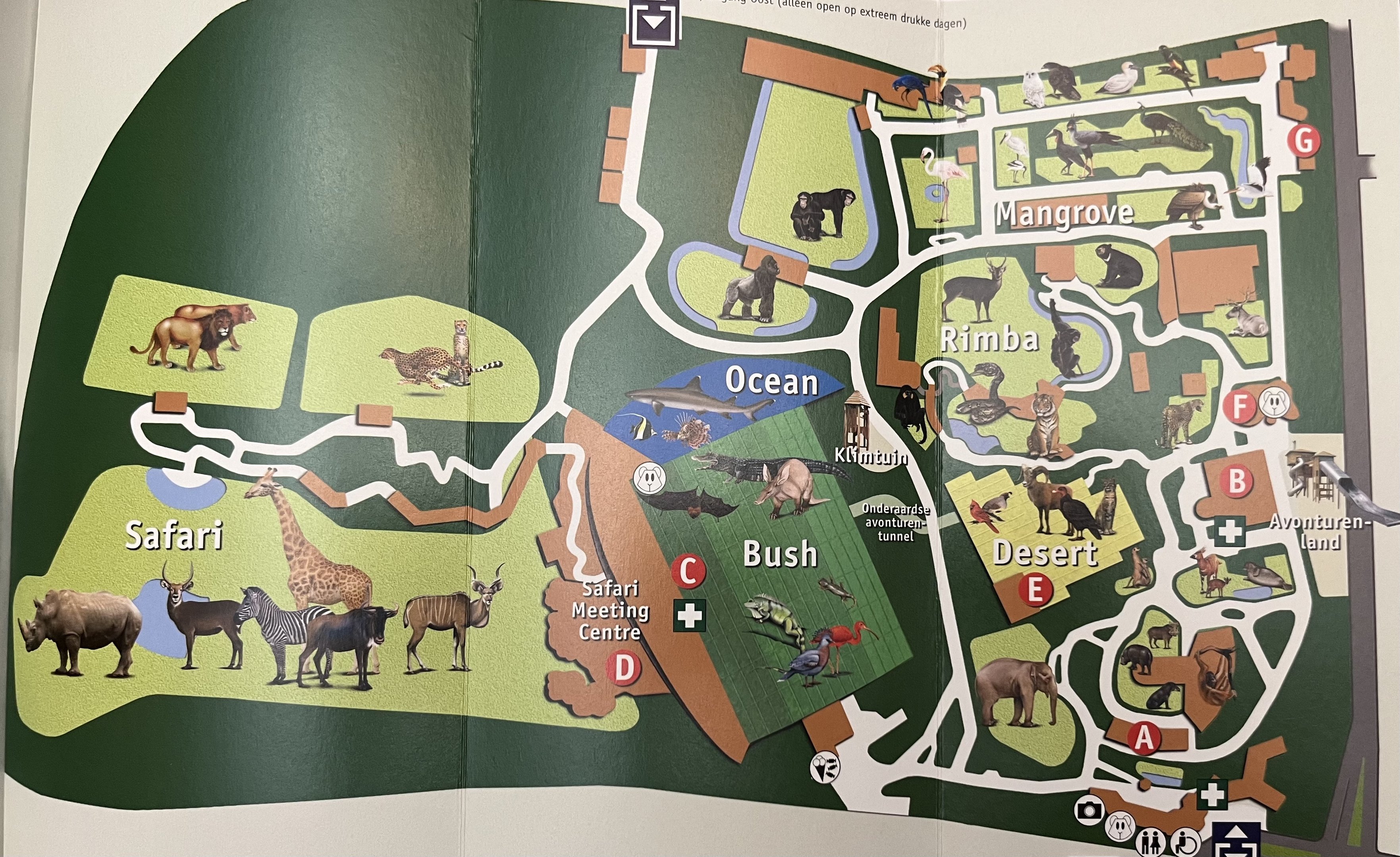 Zoo Map - 2008