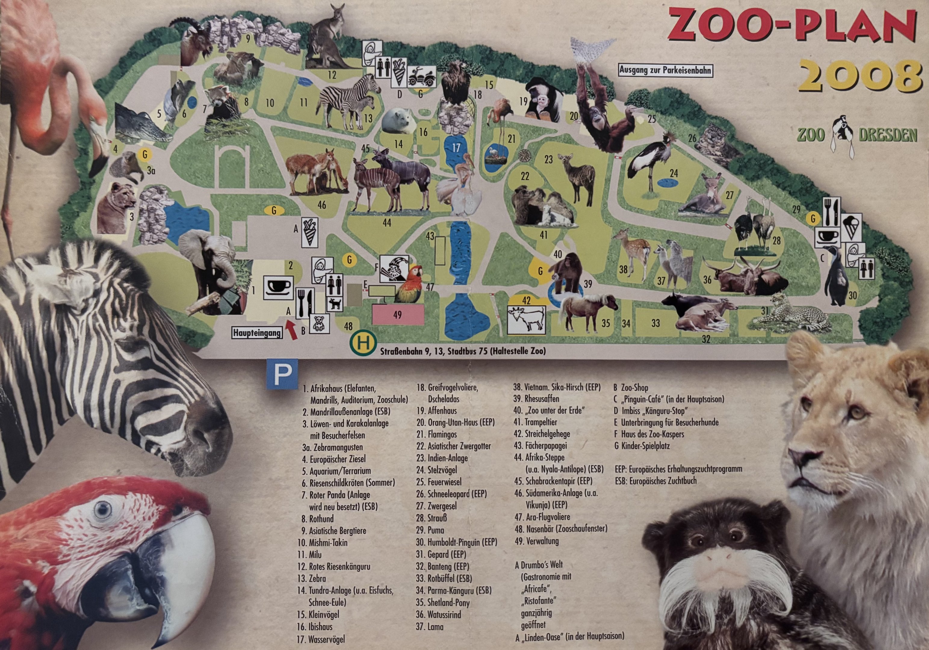 Zoo Map - 2008
