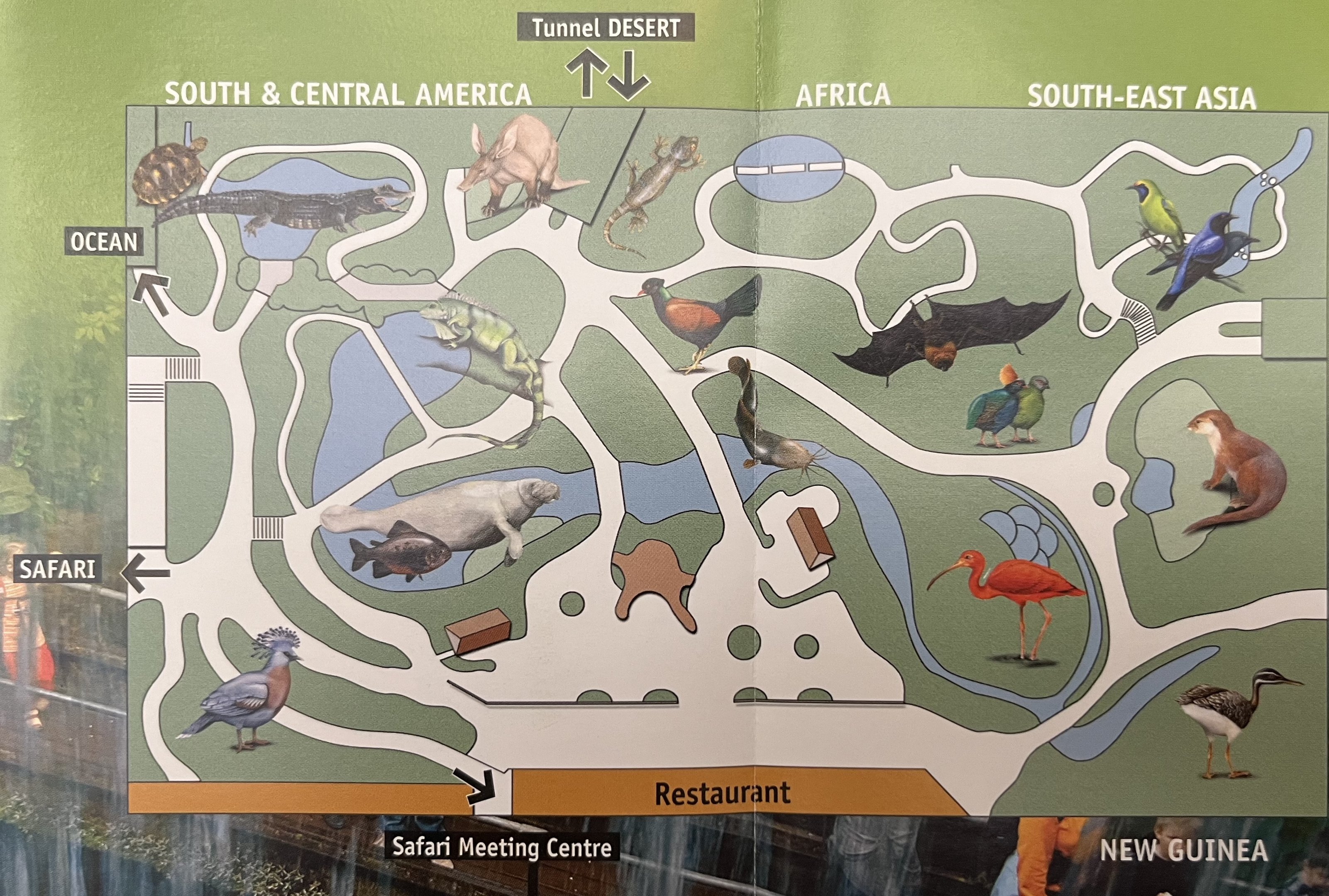 Zoo Map - 2009 (Bush)
