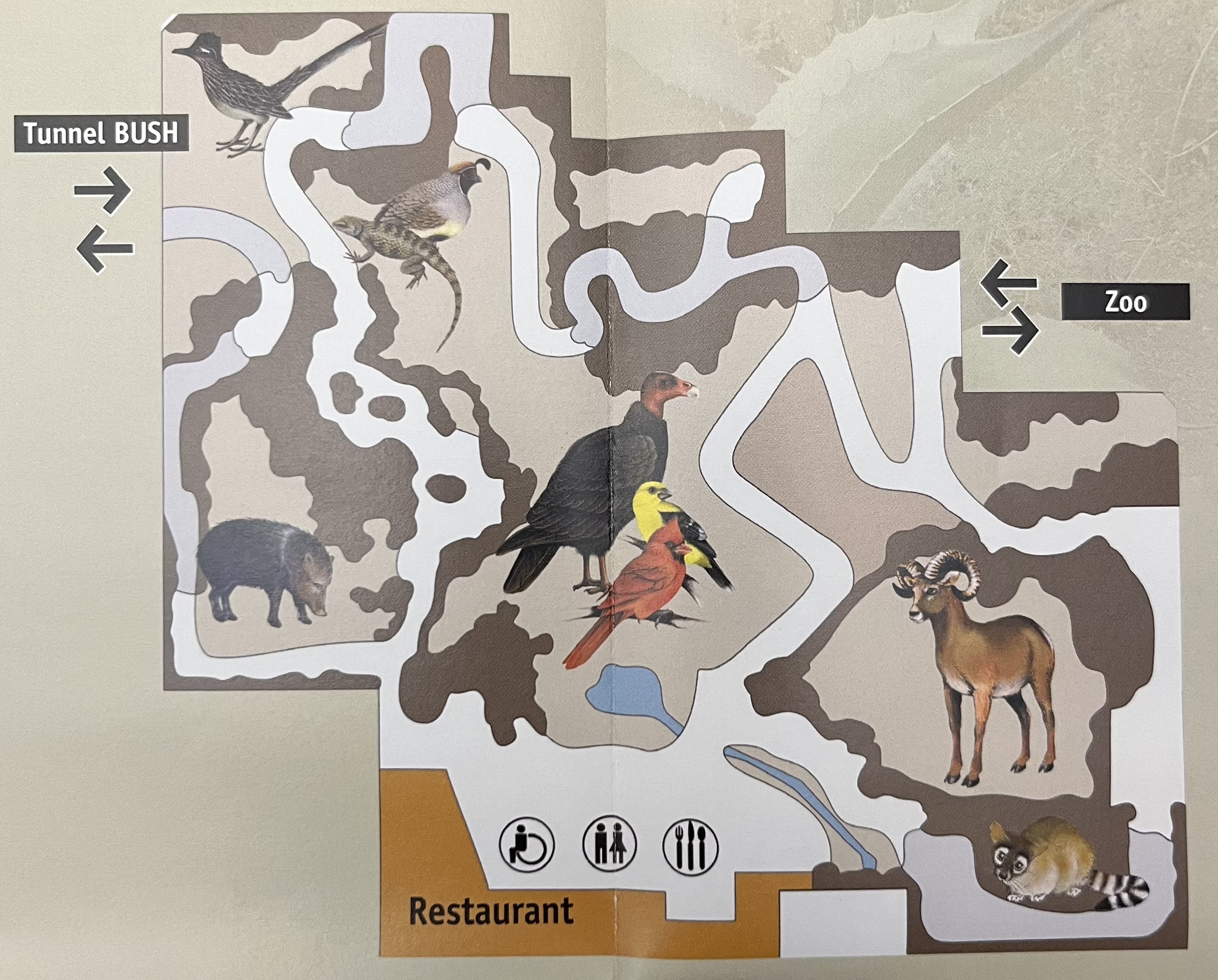 Zoo Map - 2009 (Desert)