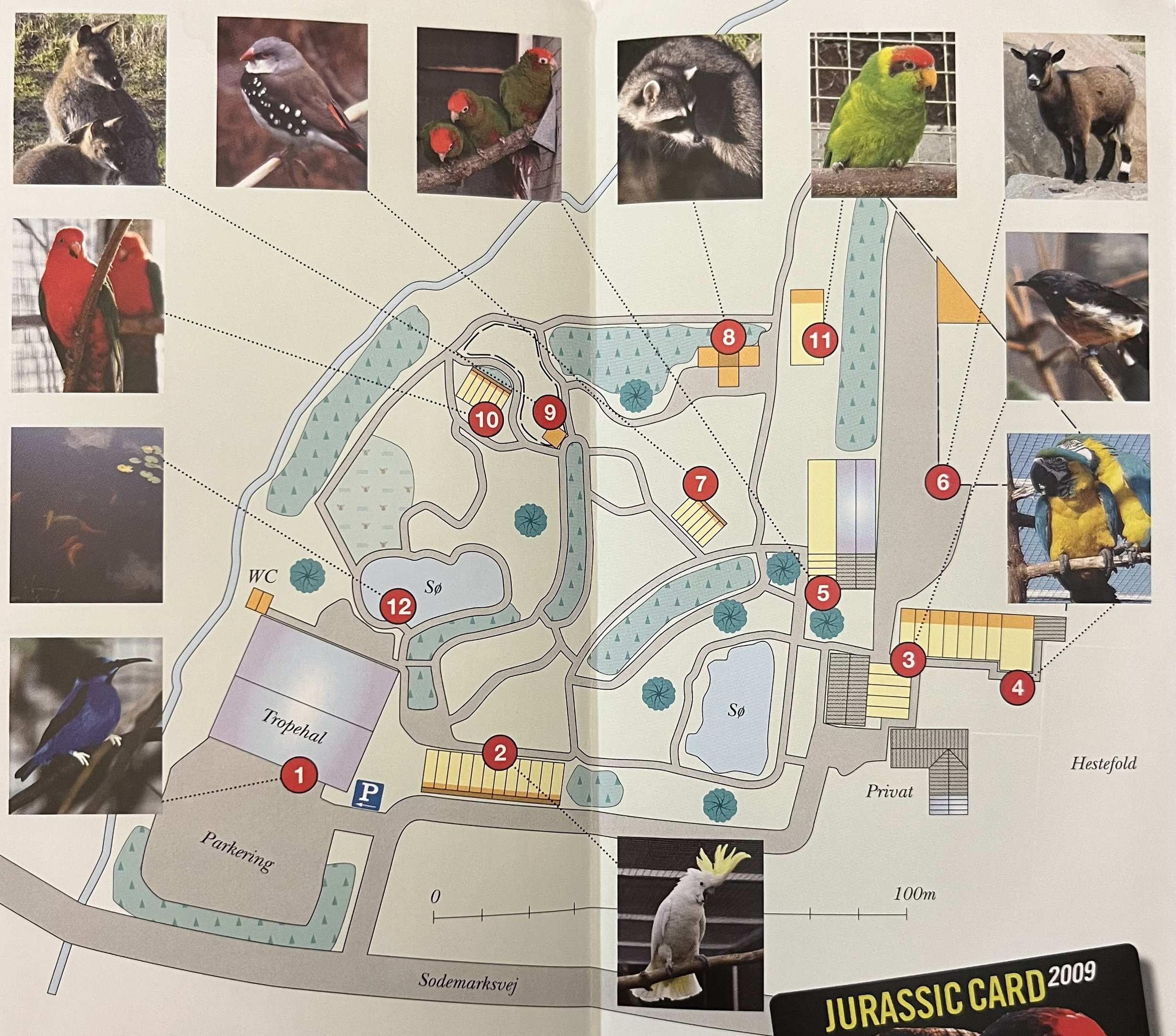 Zoo Map - 2009