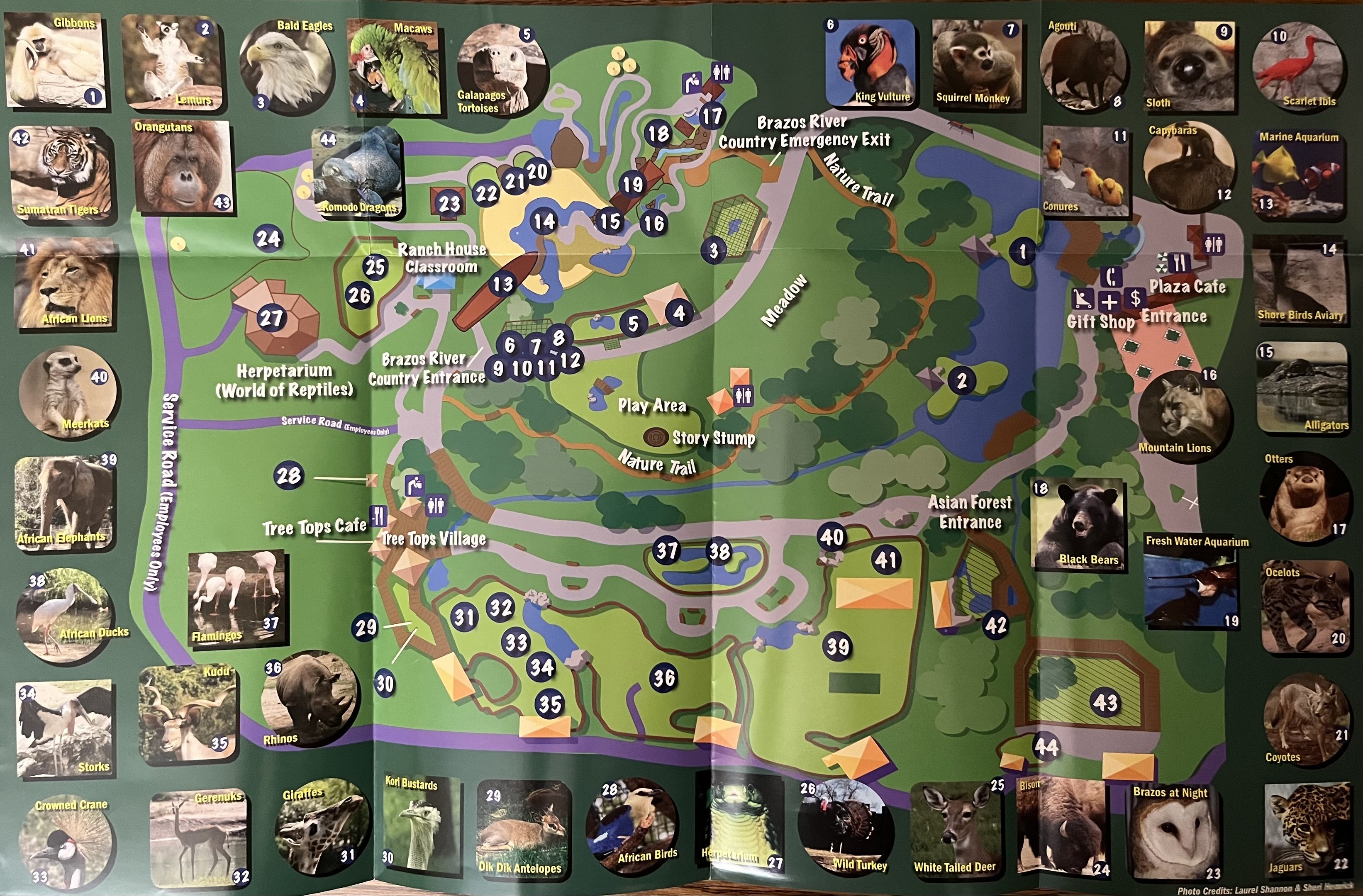 Zoo Map - 2010