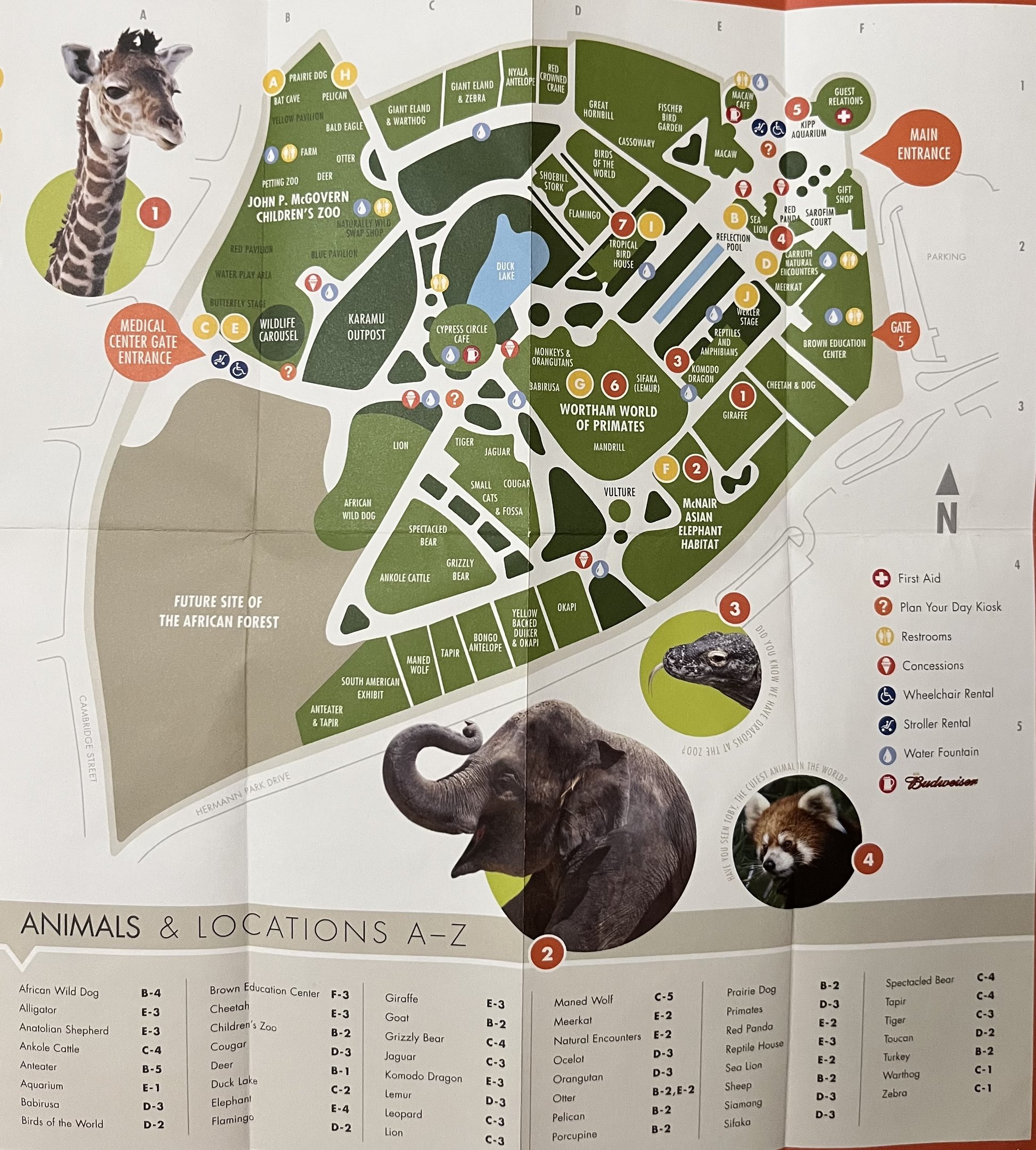 Zoo Map - 2010
