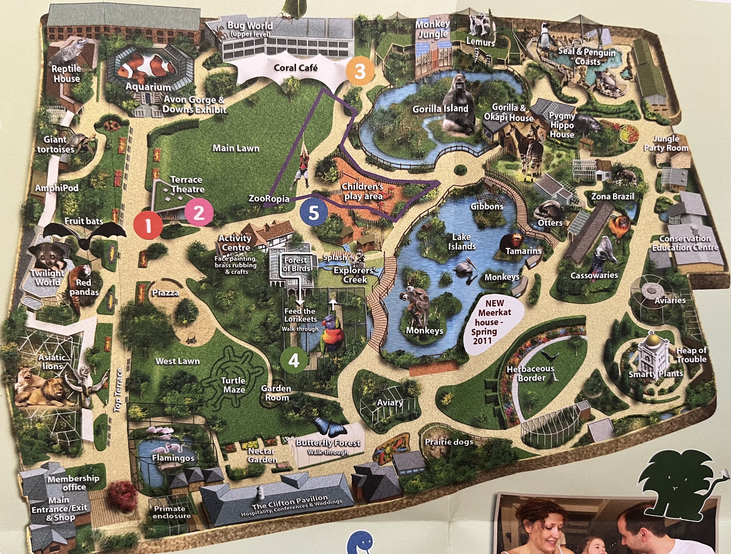 Zoo Map - 2011