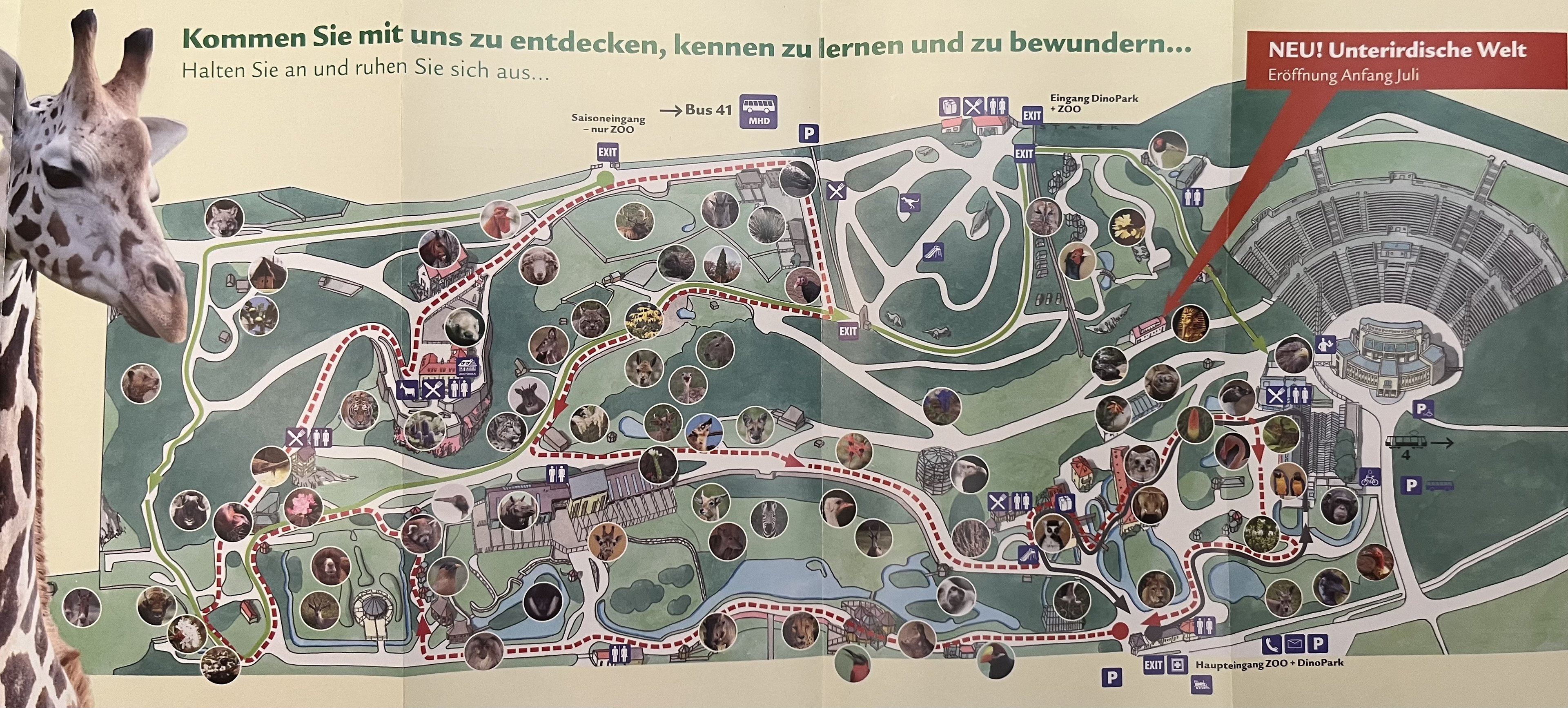 Zoo Map - 2012