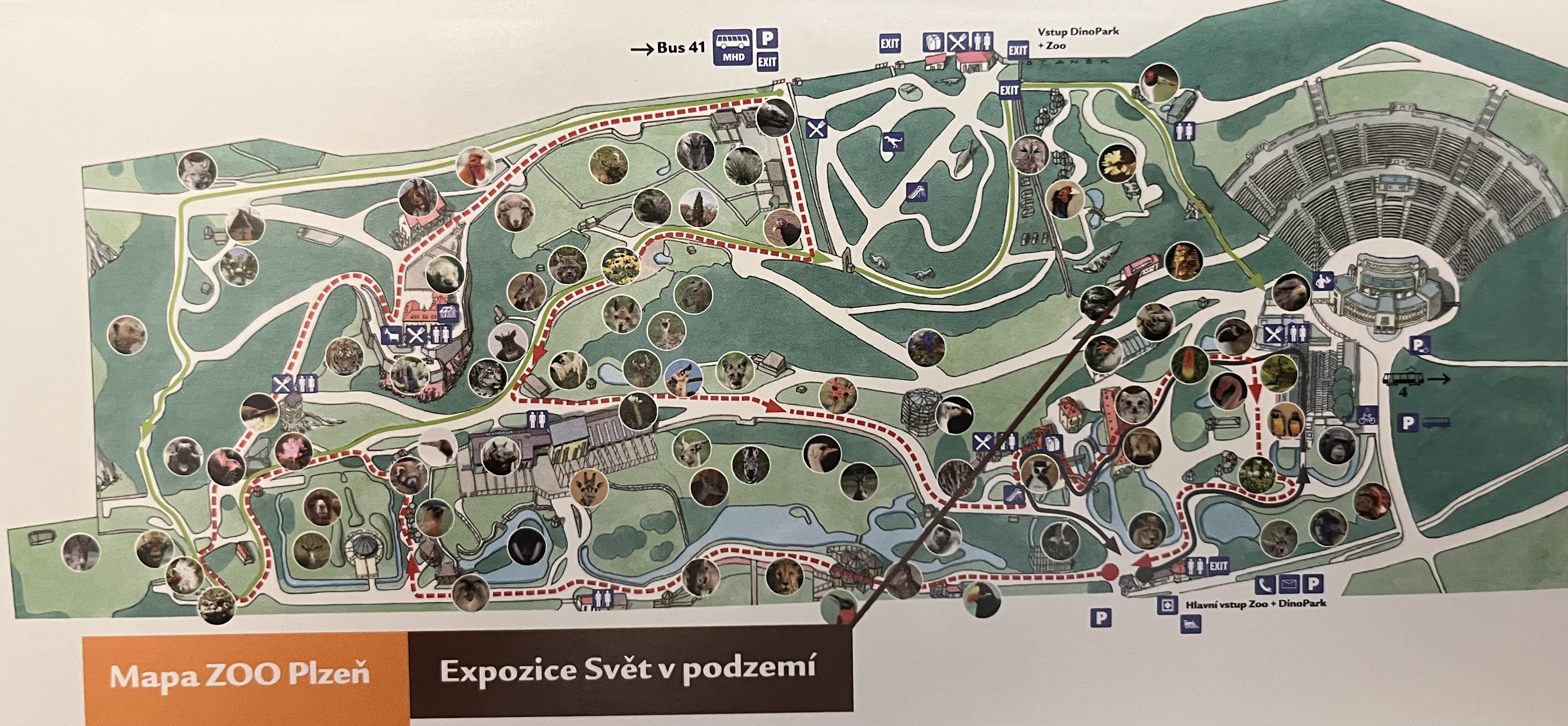 Zoo Map - 2013