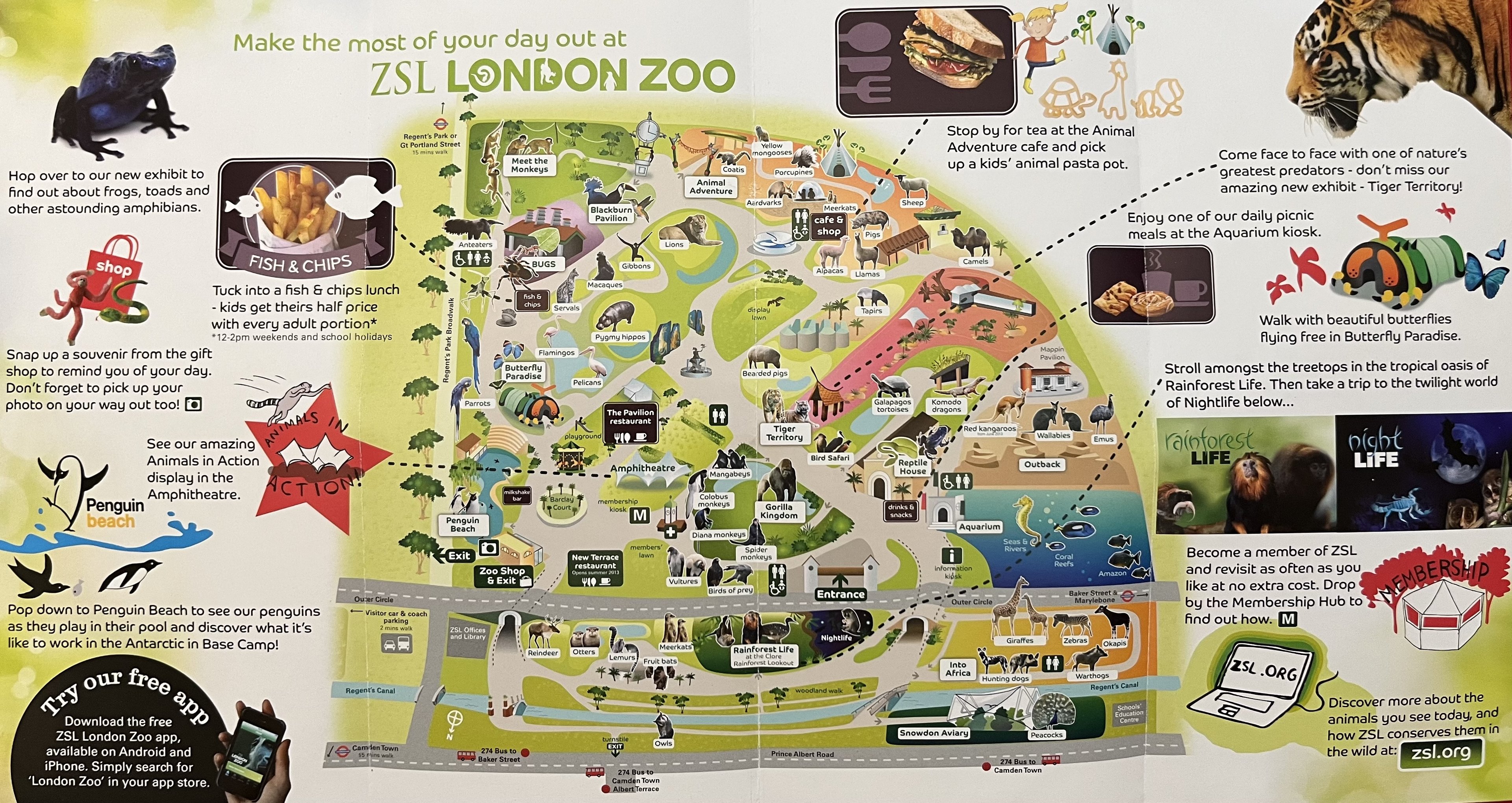 Zoo Map - 2013