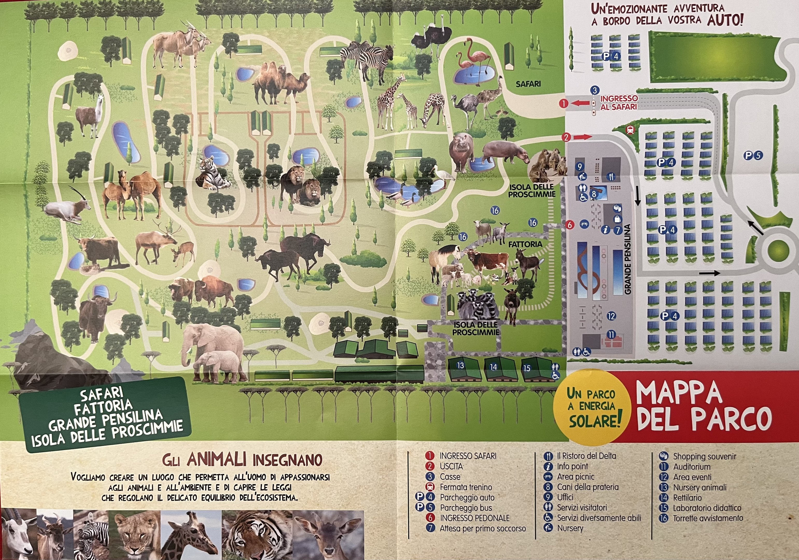 Zoo Map - 2013