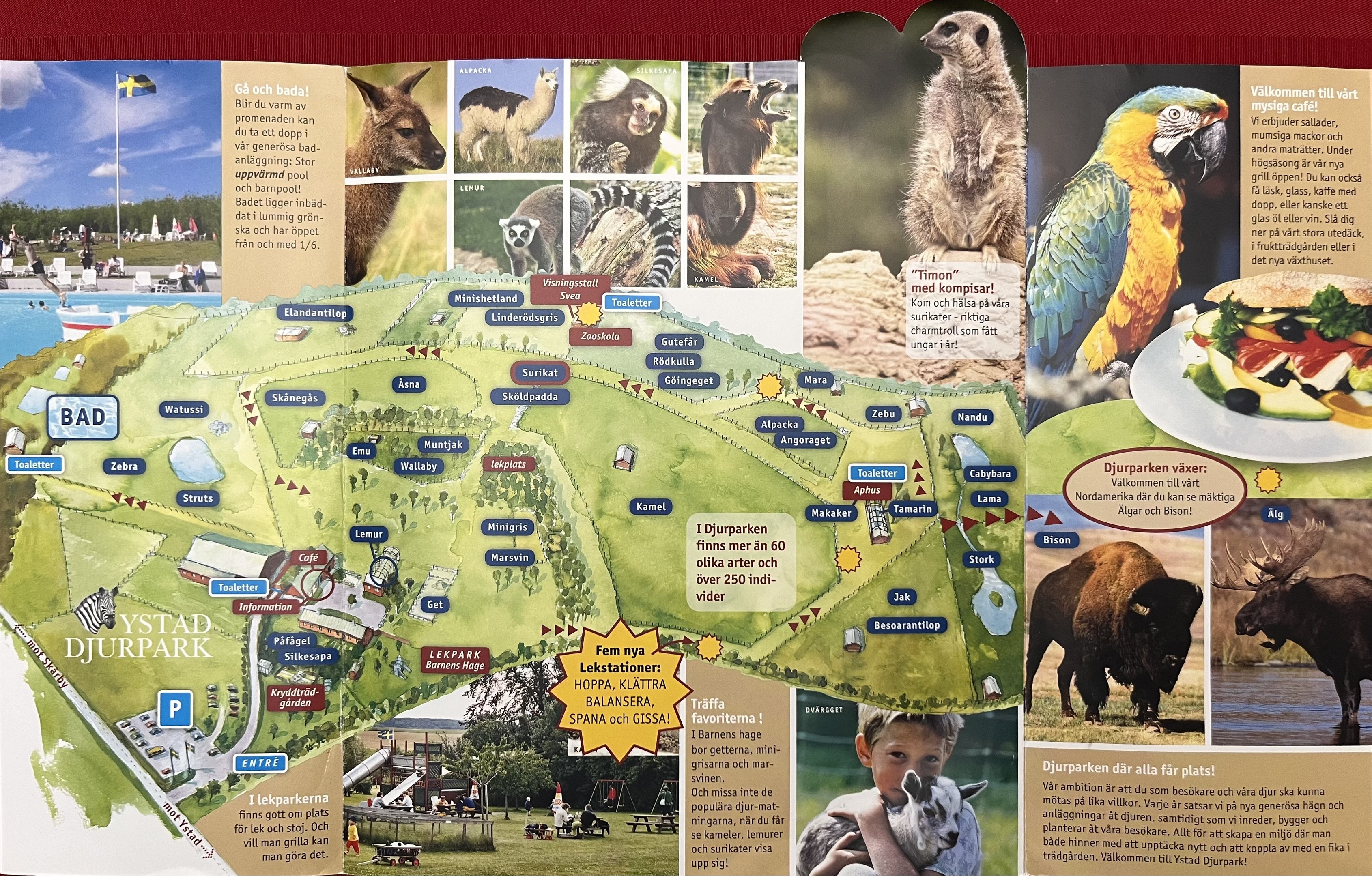 Zoo Map - 2013