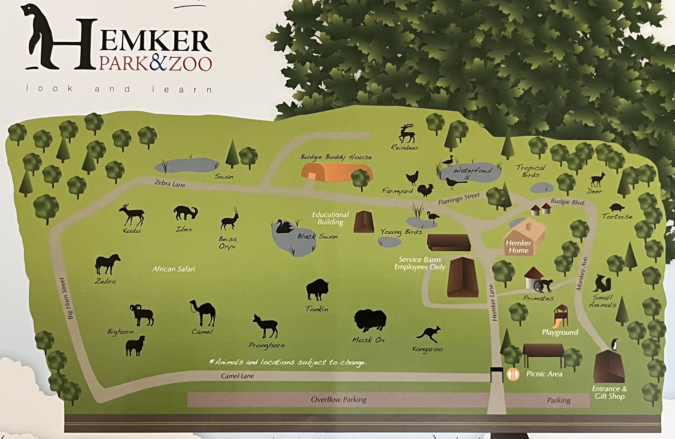 Zoo Map - 2014