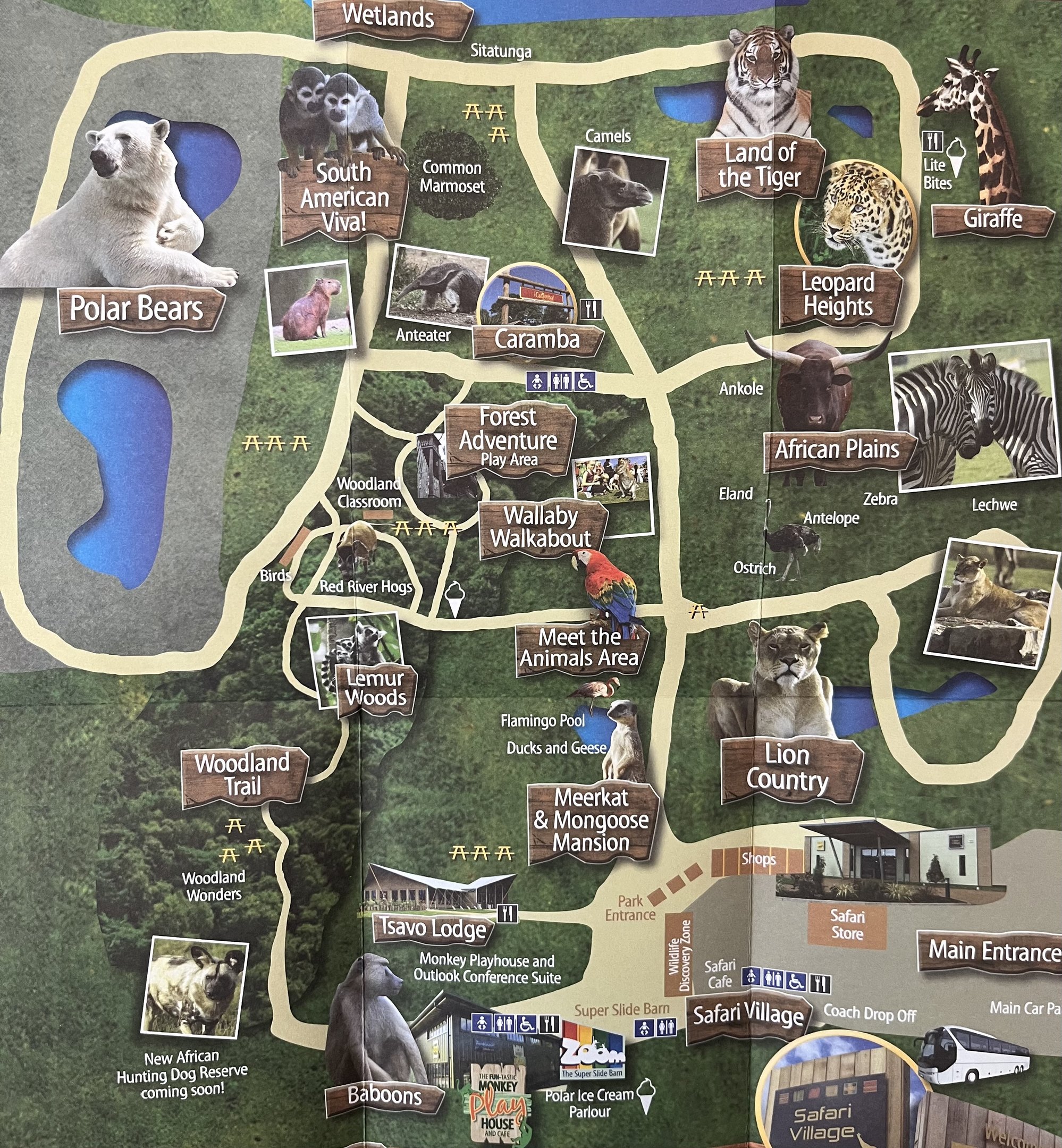 Zoo Map - 2014