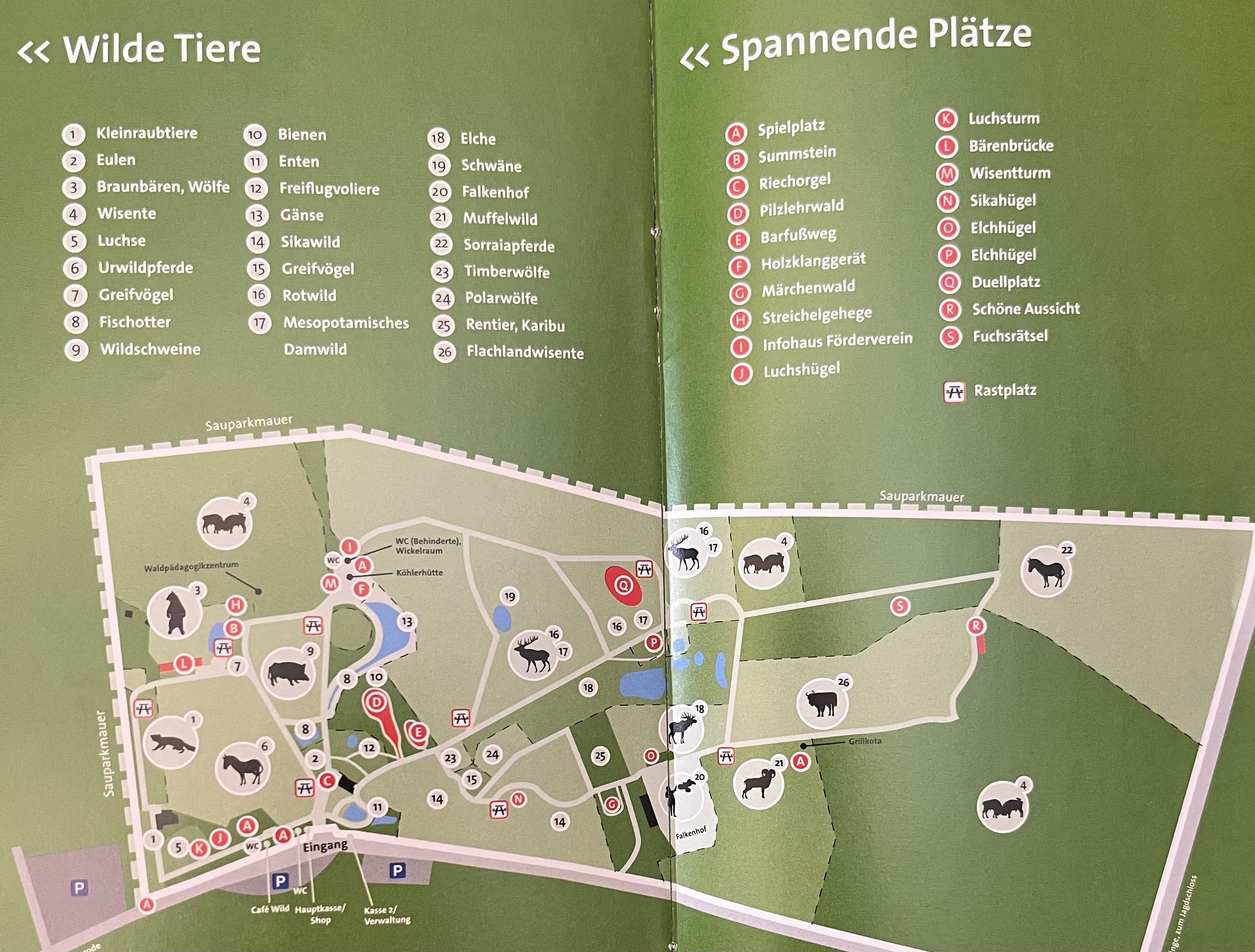 Zoo Map - 2014
