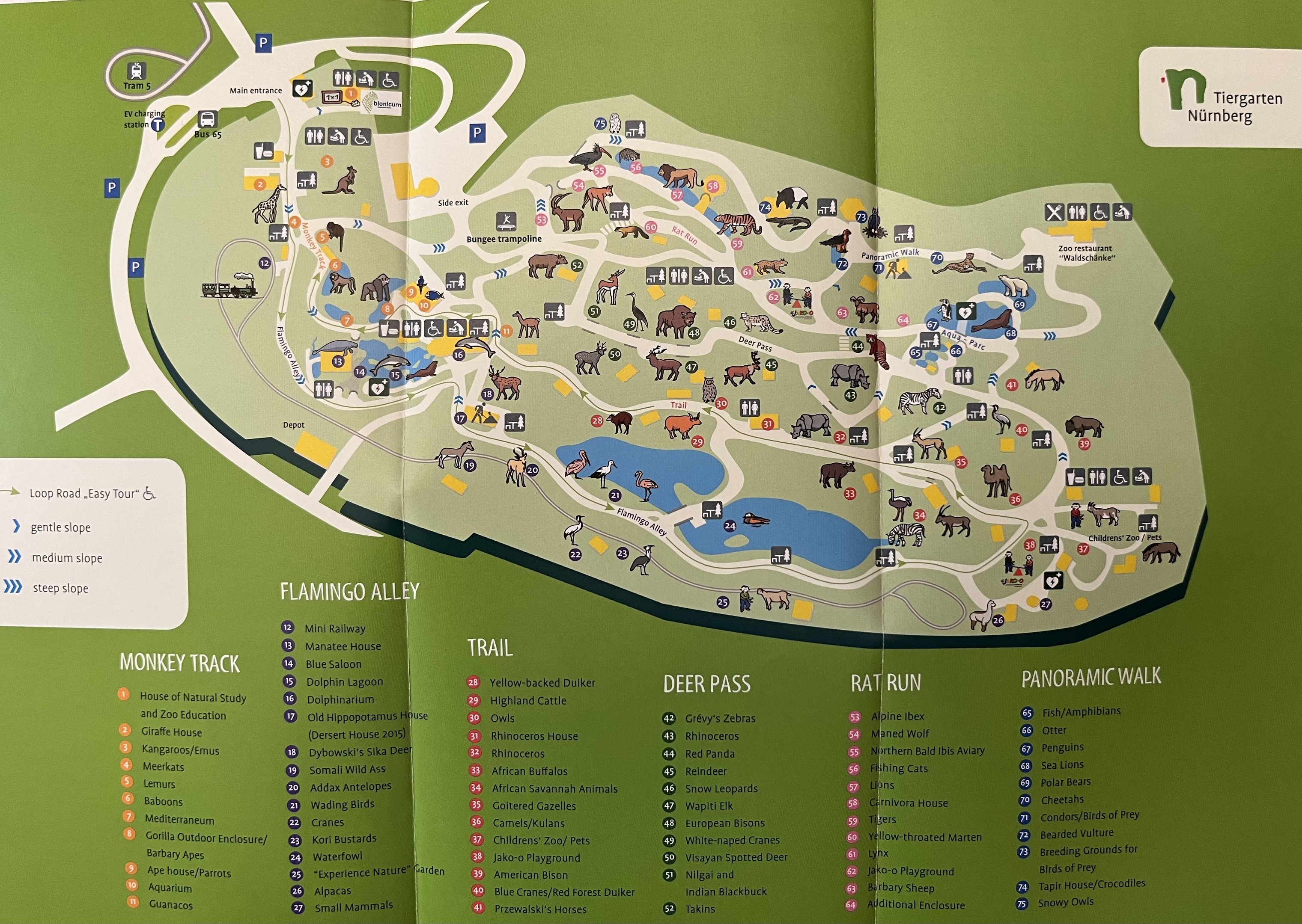 Zoo Map - 2015 (English)