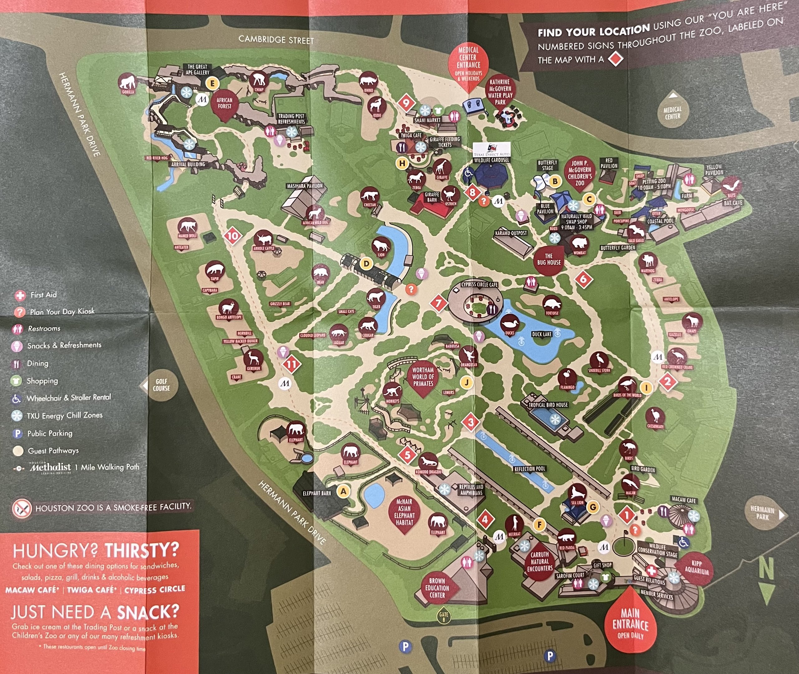 Zoo Map - 2015