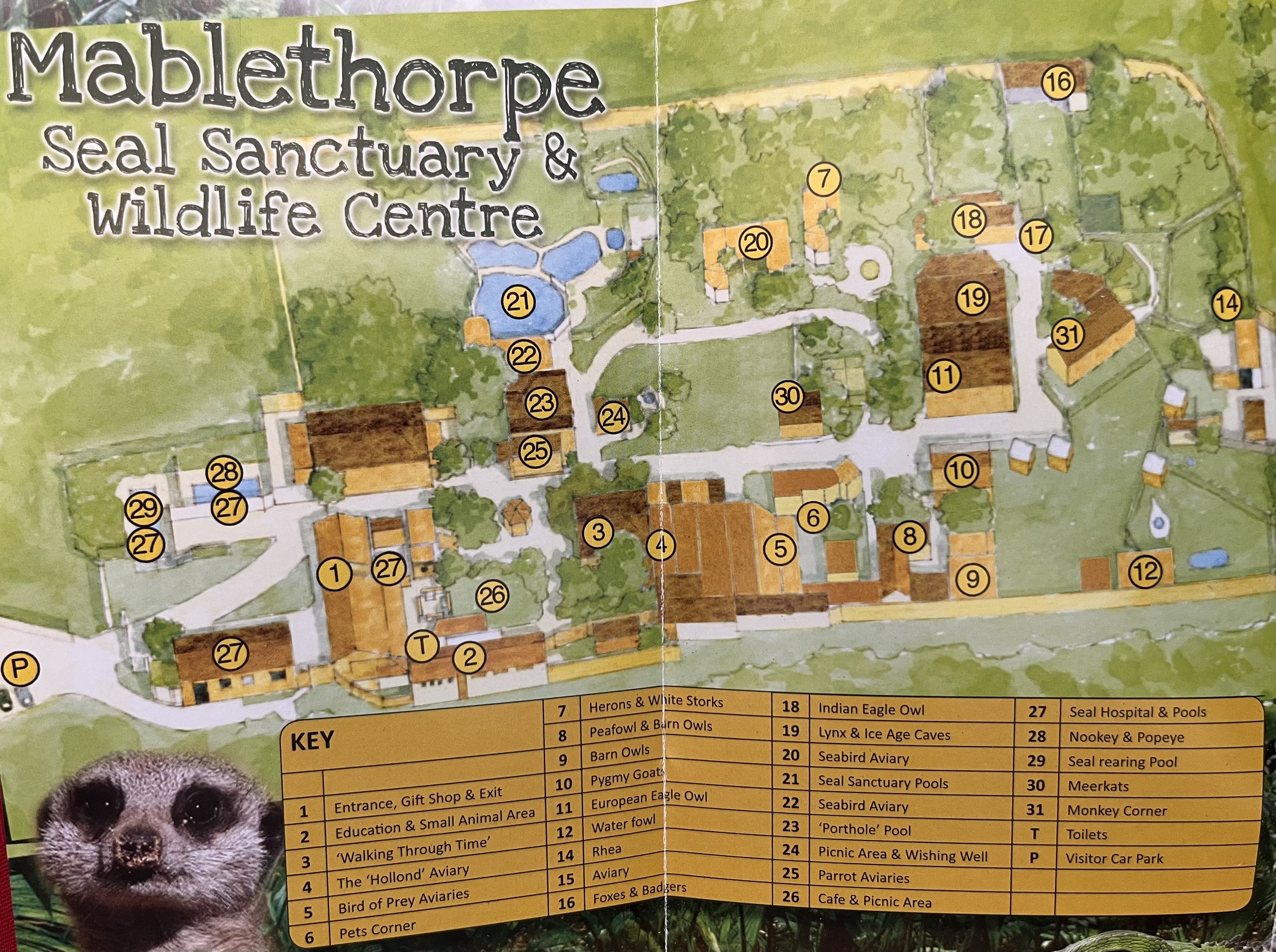 Zoo Map - 2015
