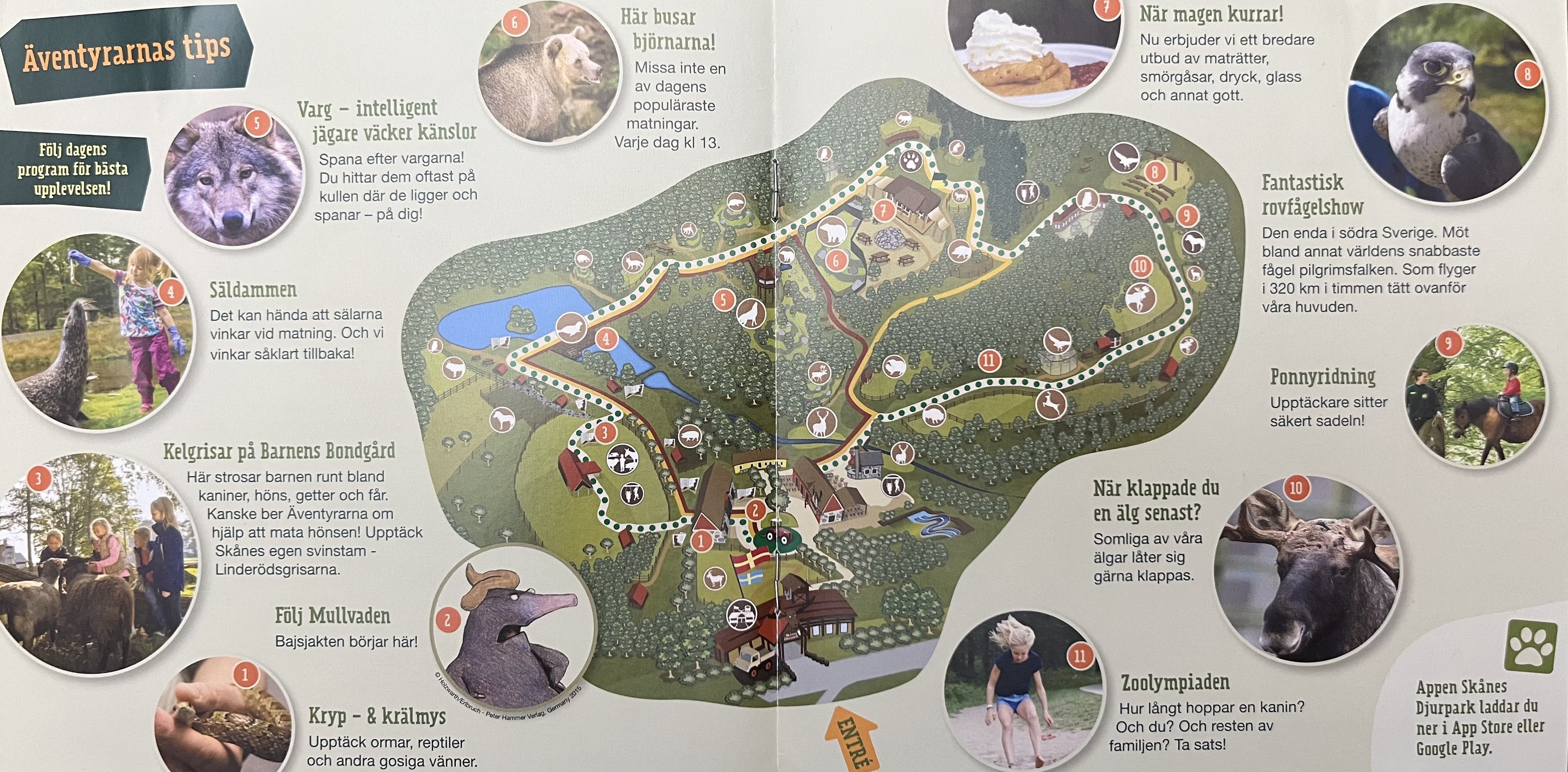 Zoo Map - 2015