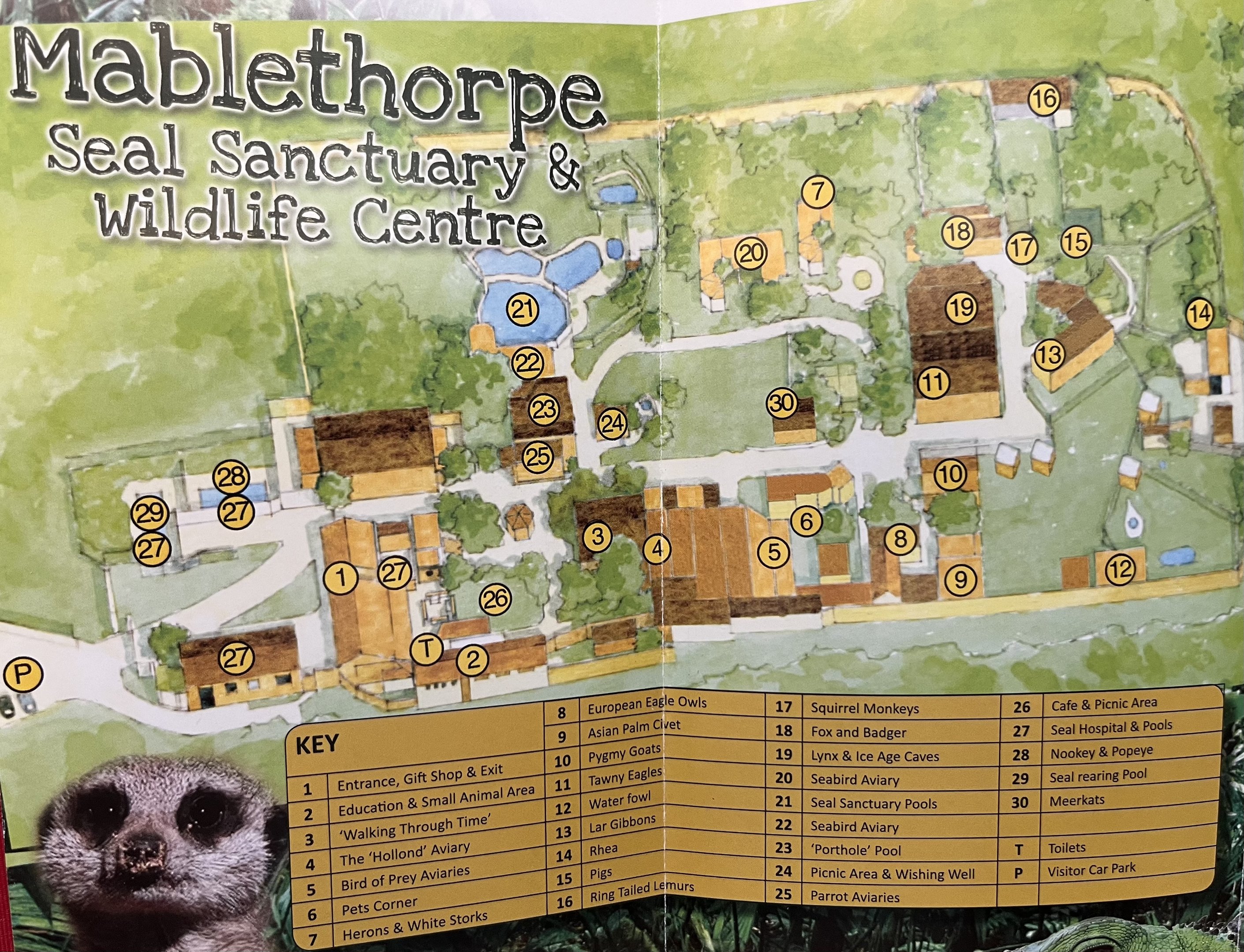 Zoo Map - 2016