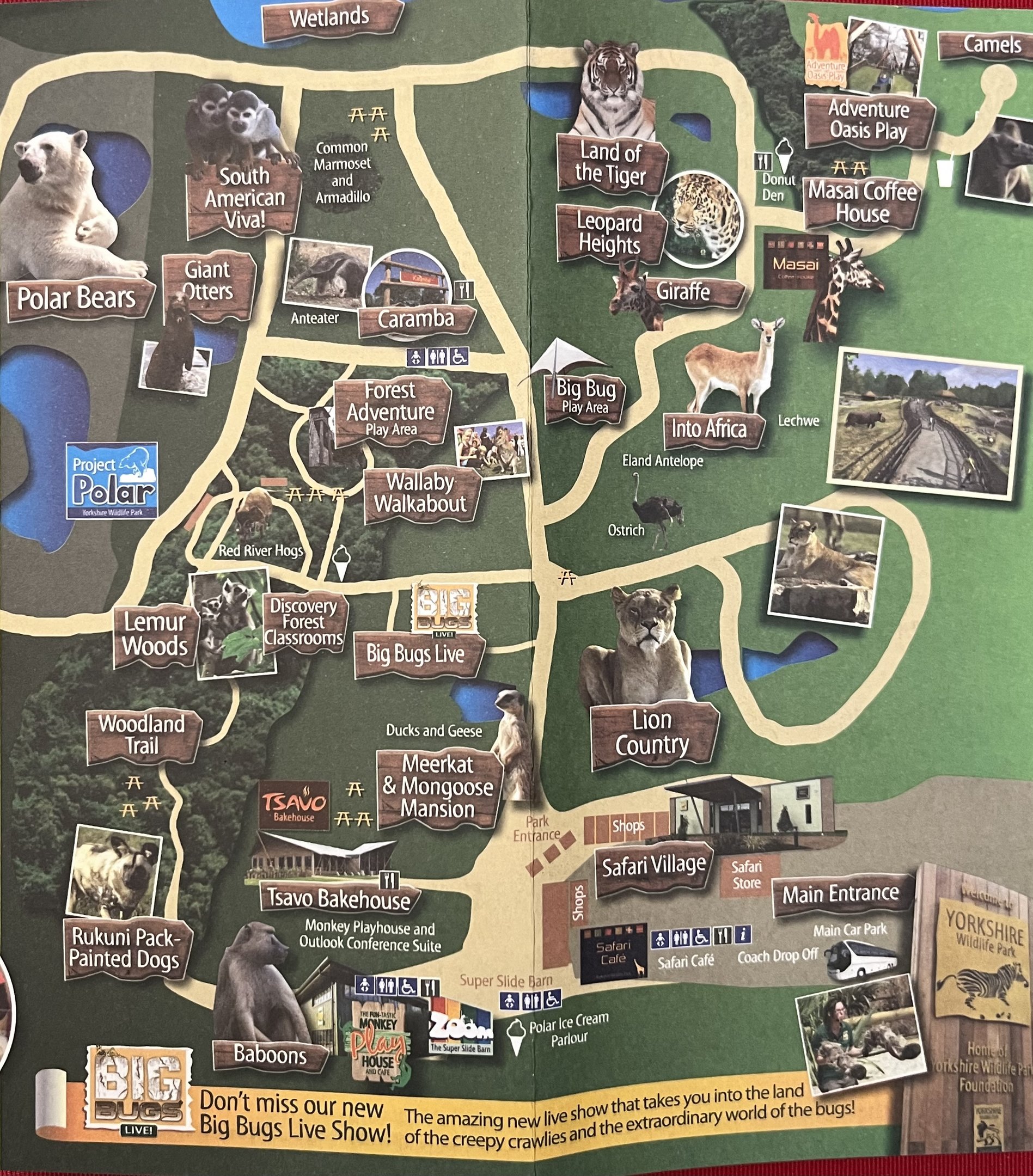 Zoo Map - 2016