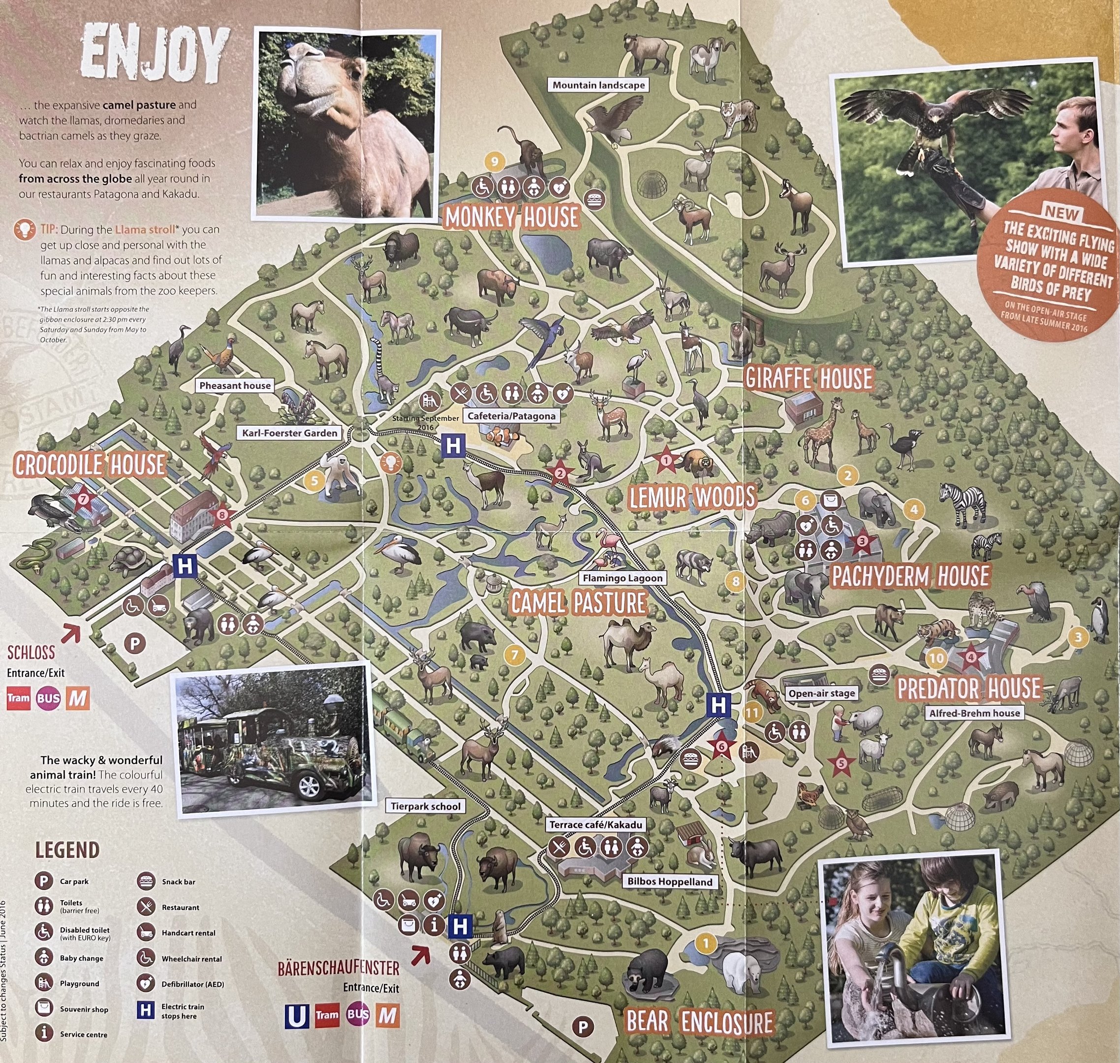 Zoo Map - 2016