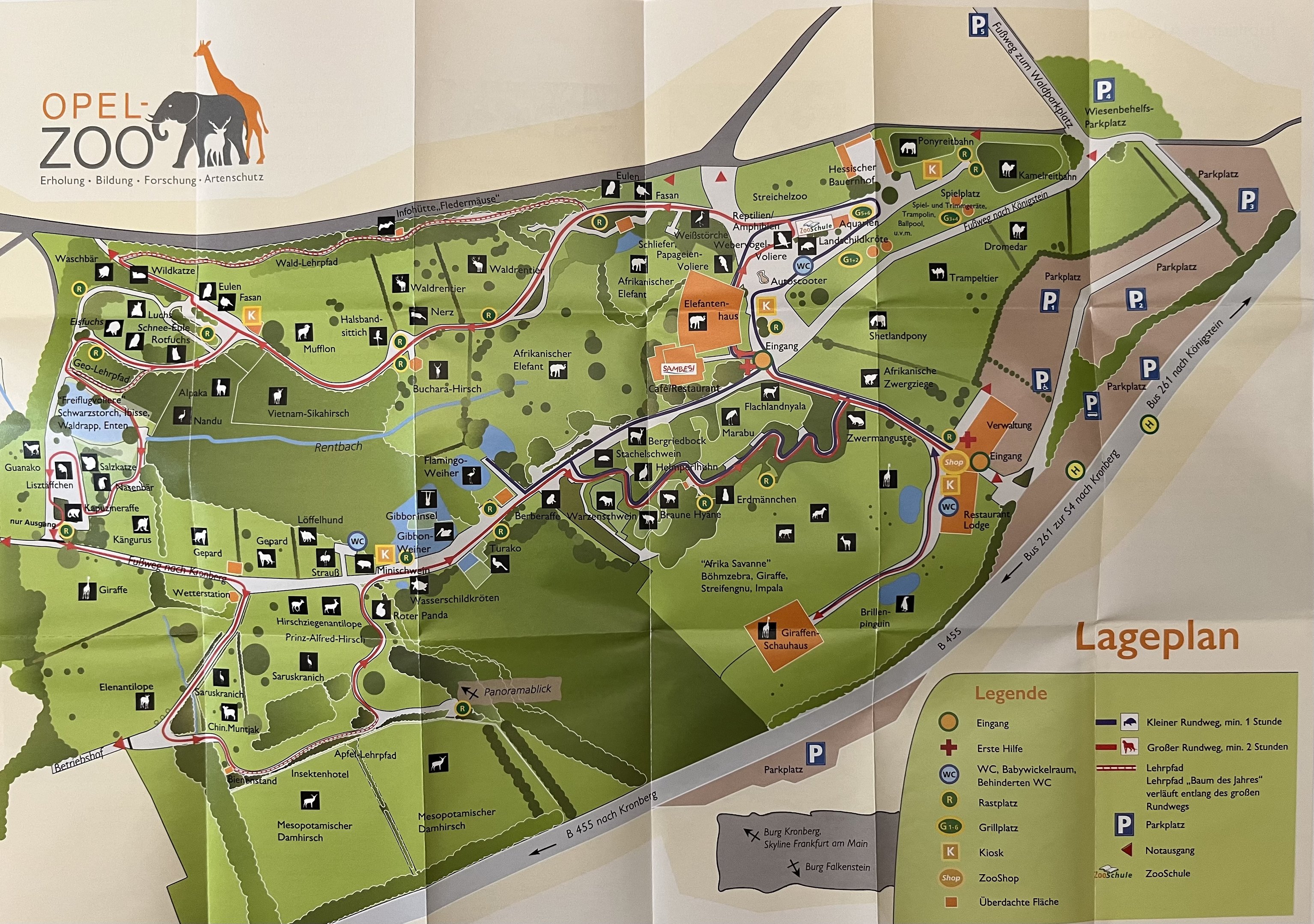 Zoo Map - 2016