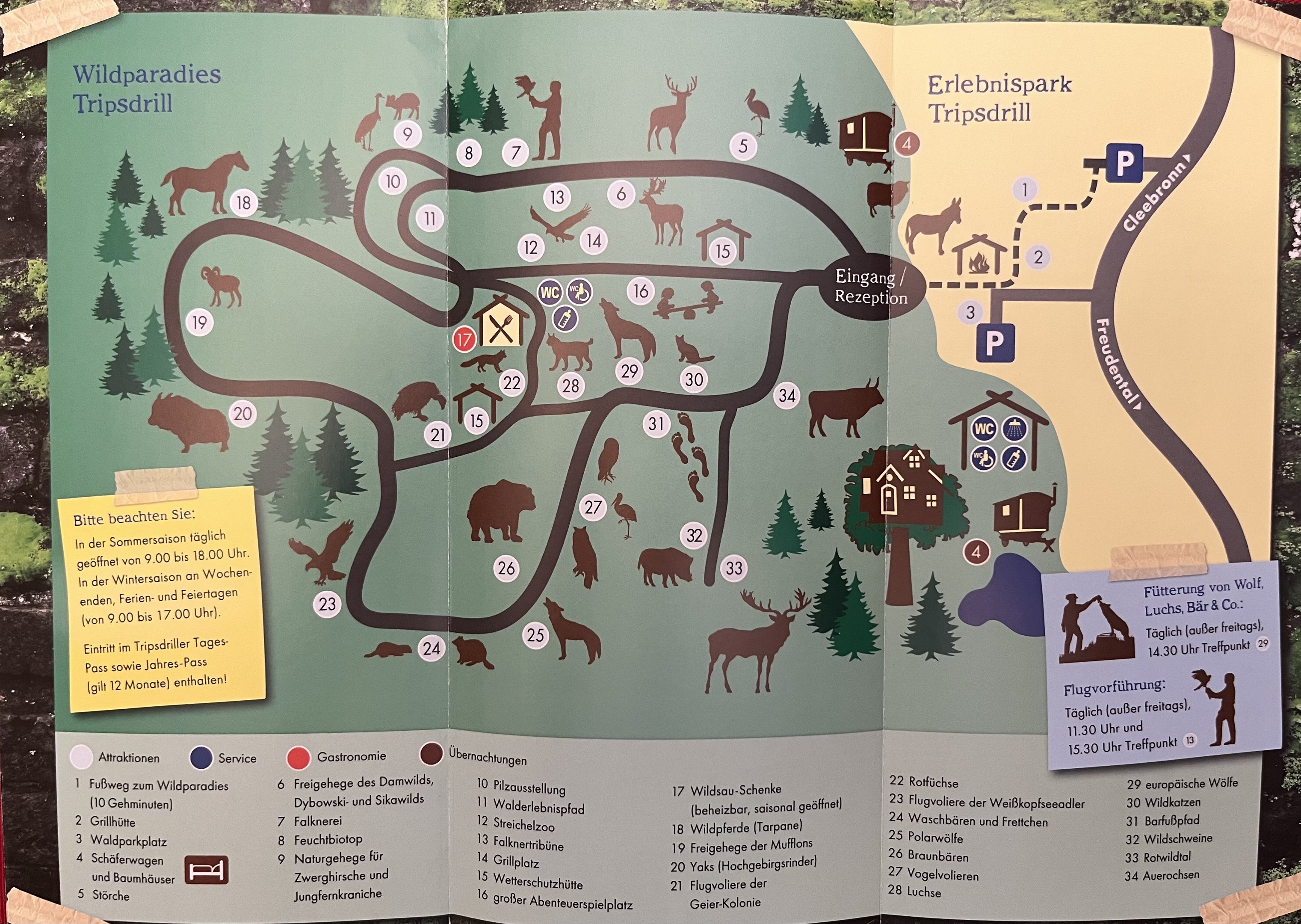 Zoo Map - 2016