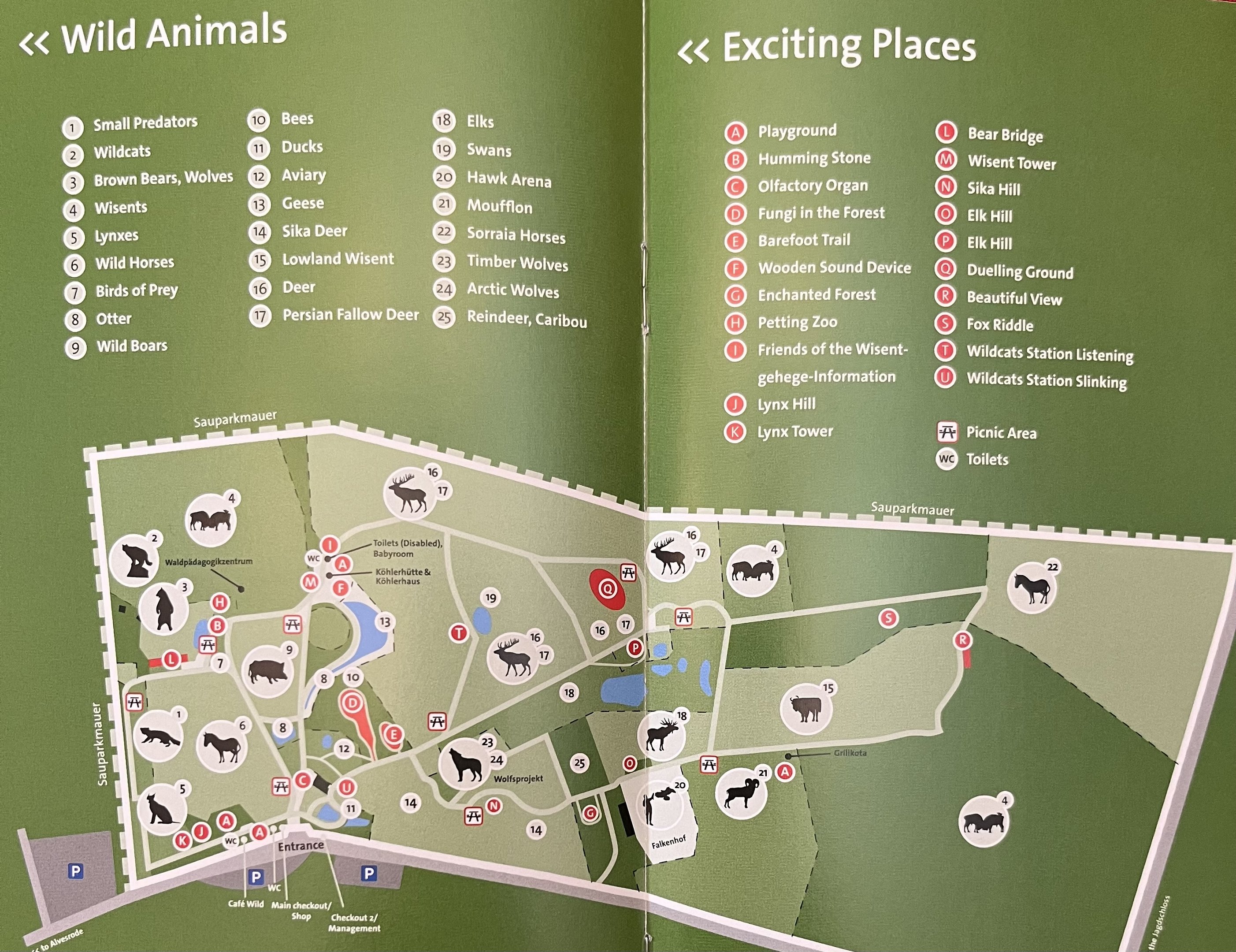 Zoo Map - 2016