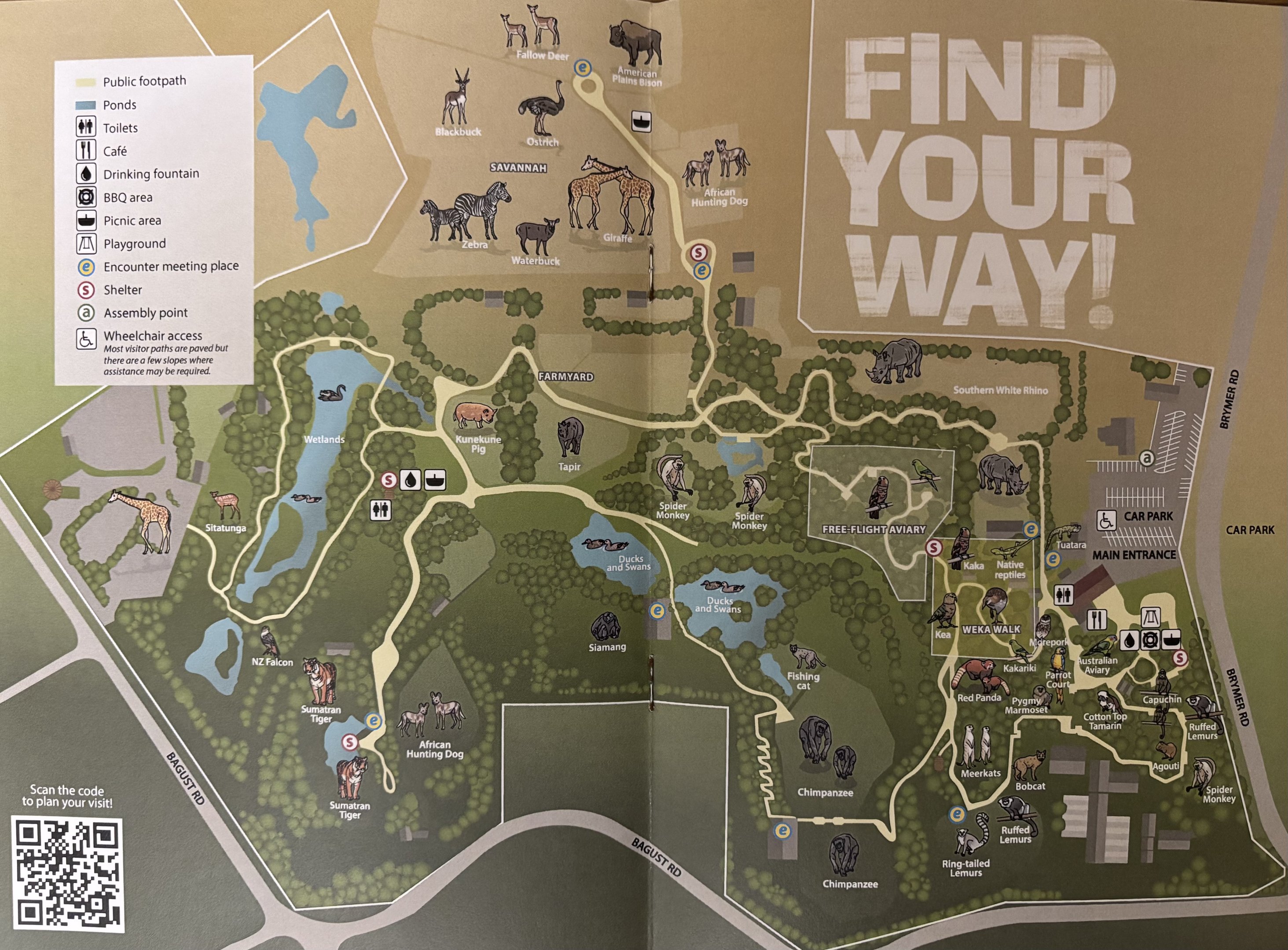 Zoo Map - 2017