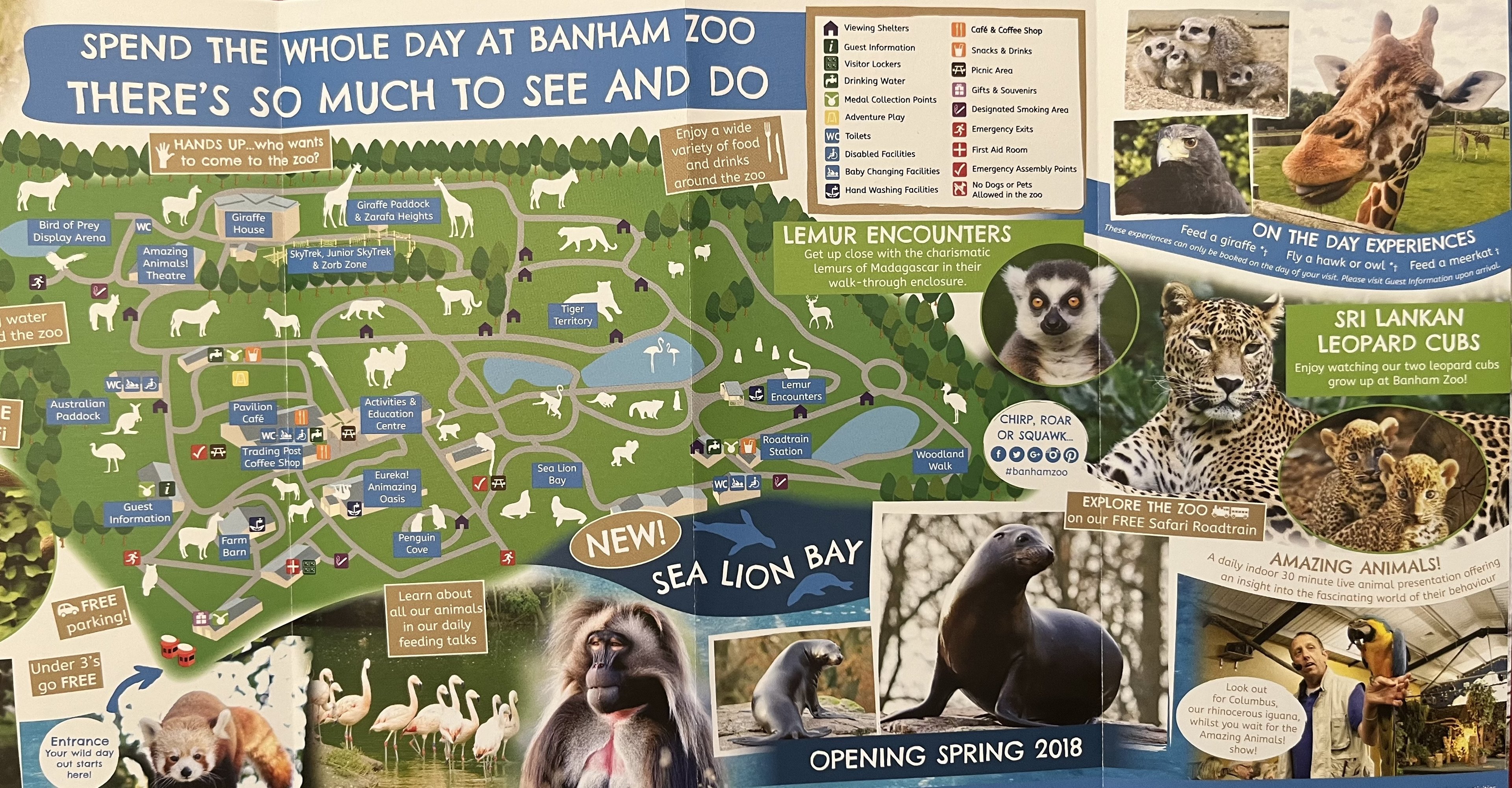Zoo Map - 2018