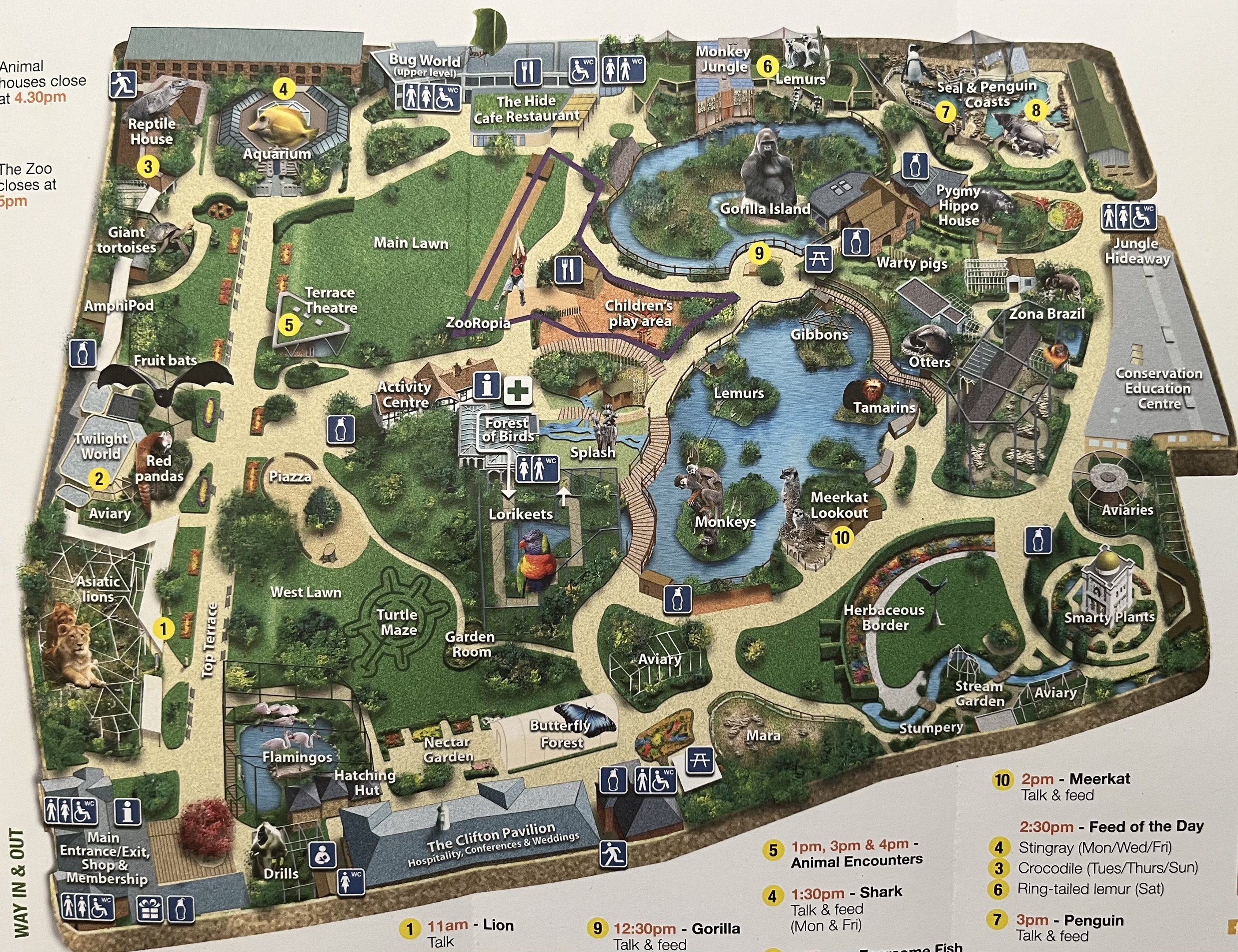 Zoo Map - 2018