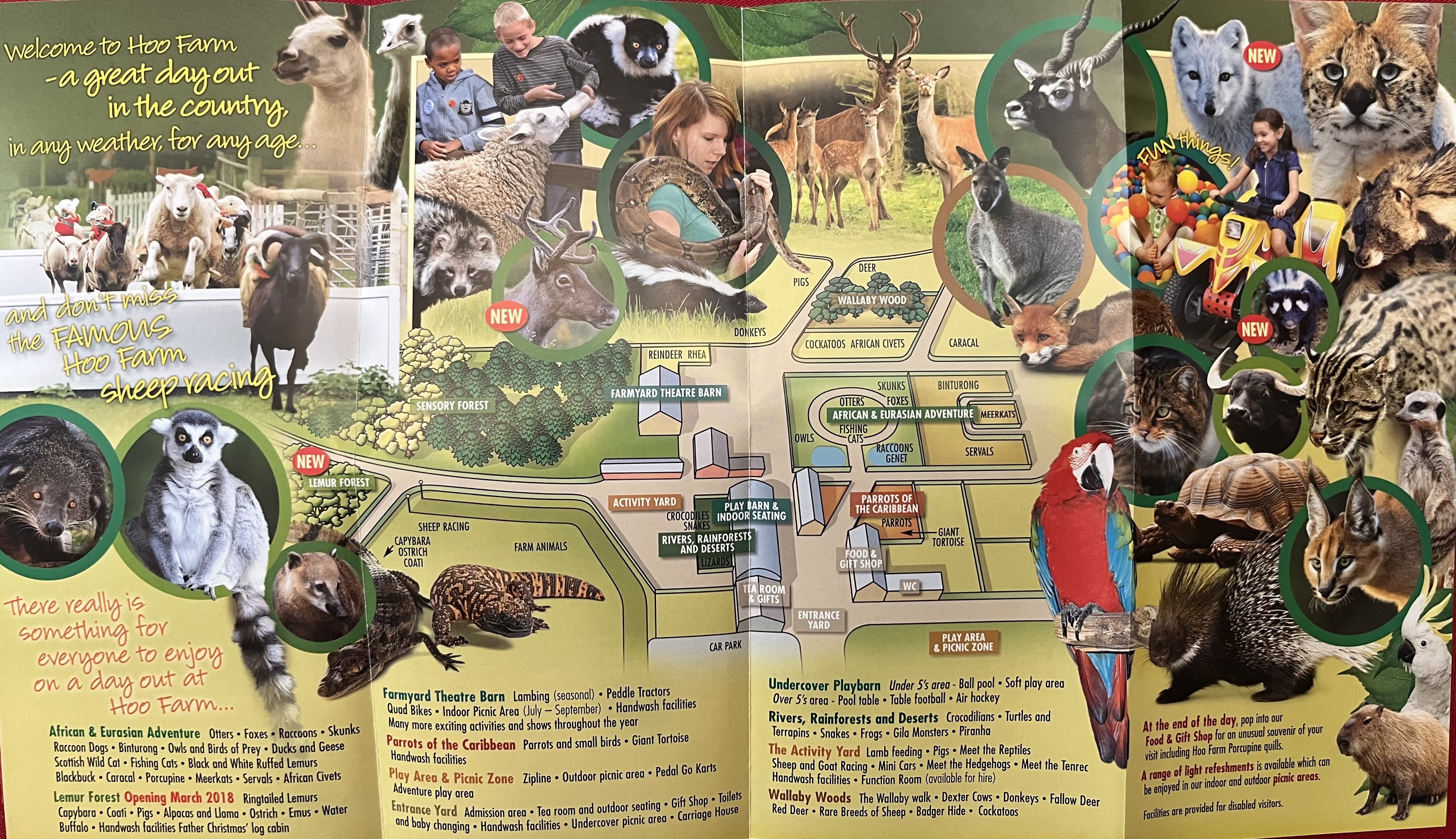 Zoo Map - 2018