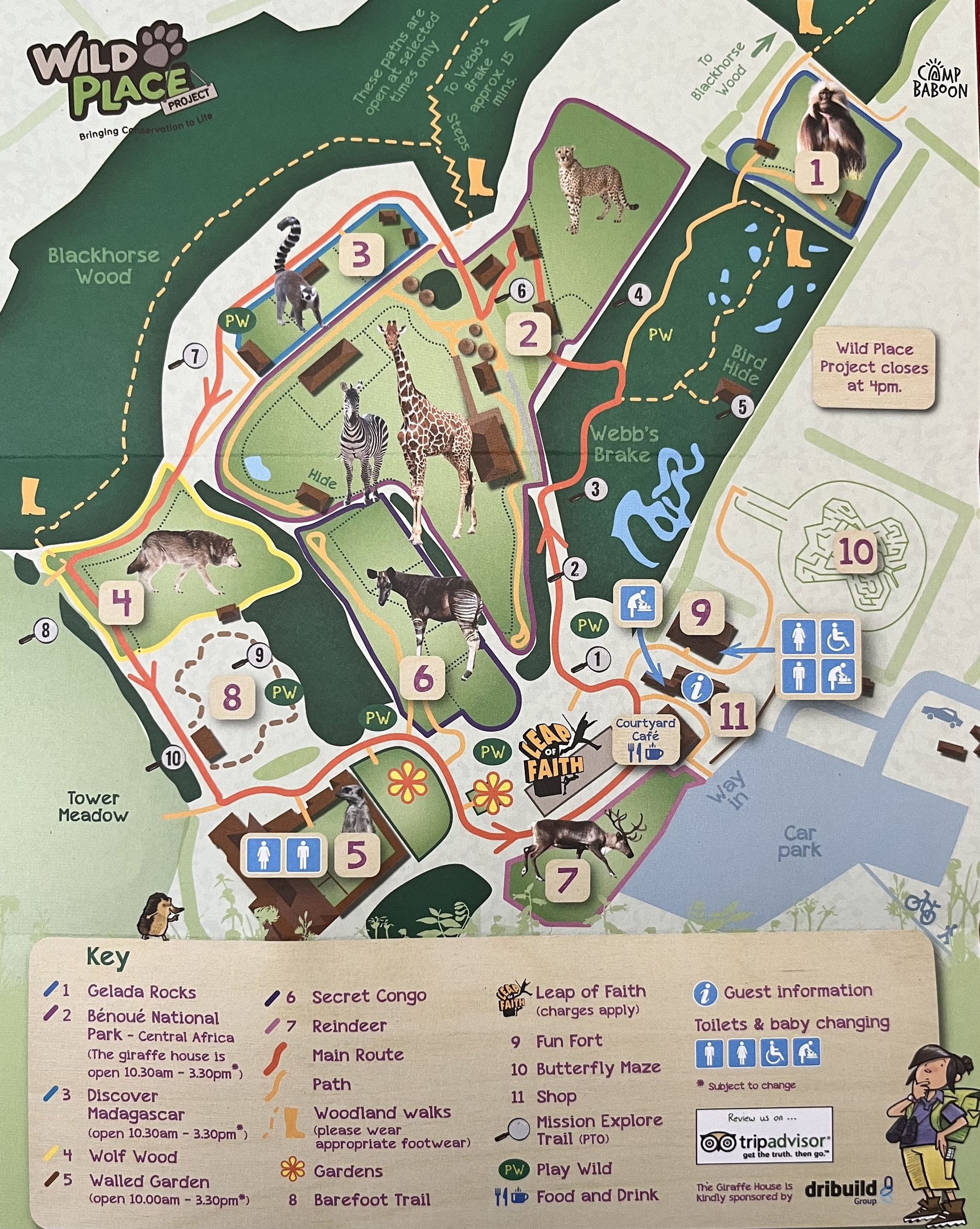 Zoo Map - 2018