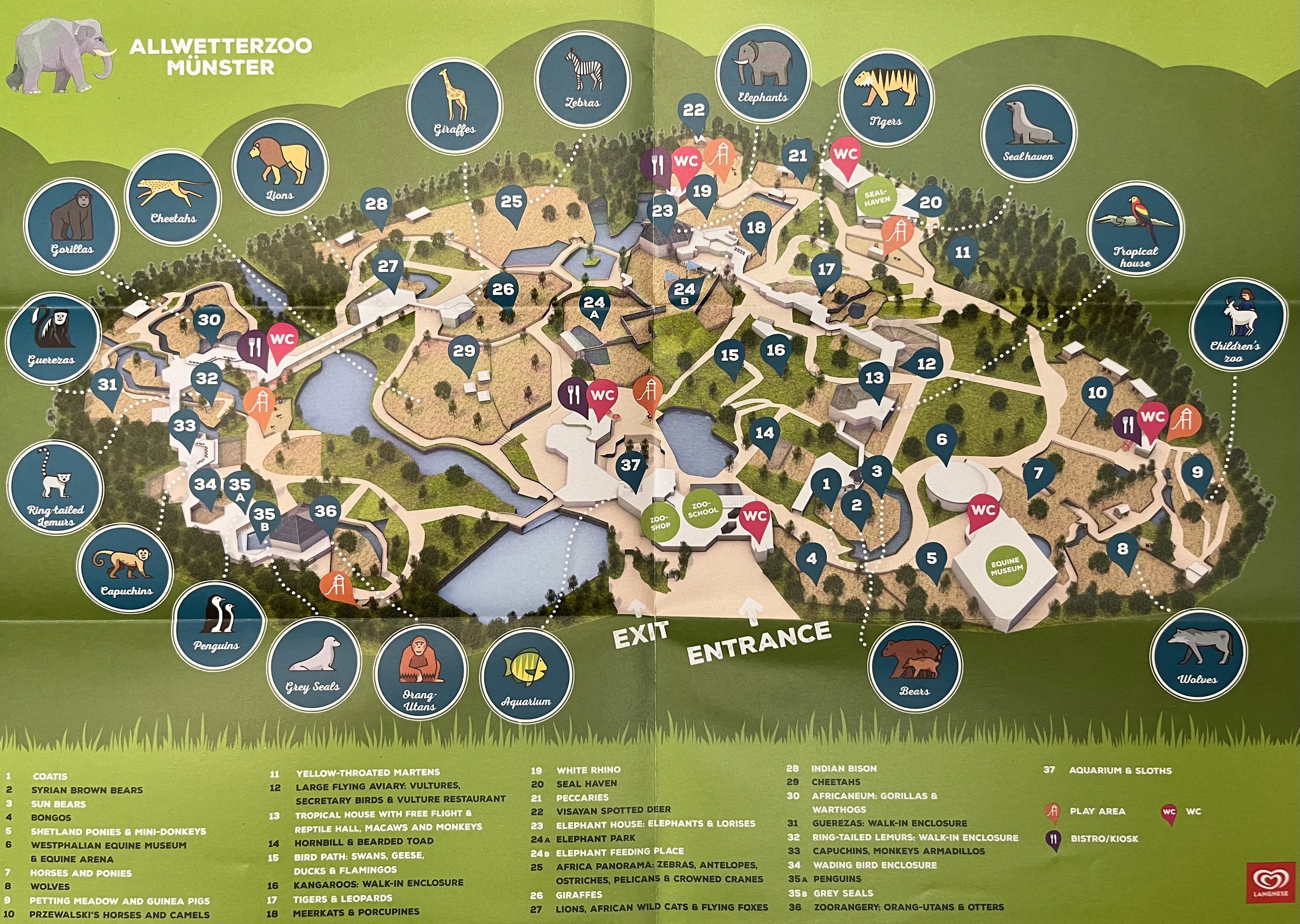 Zoo Map - 2018