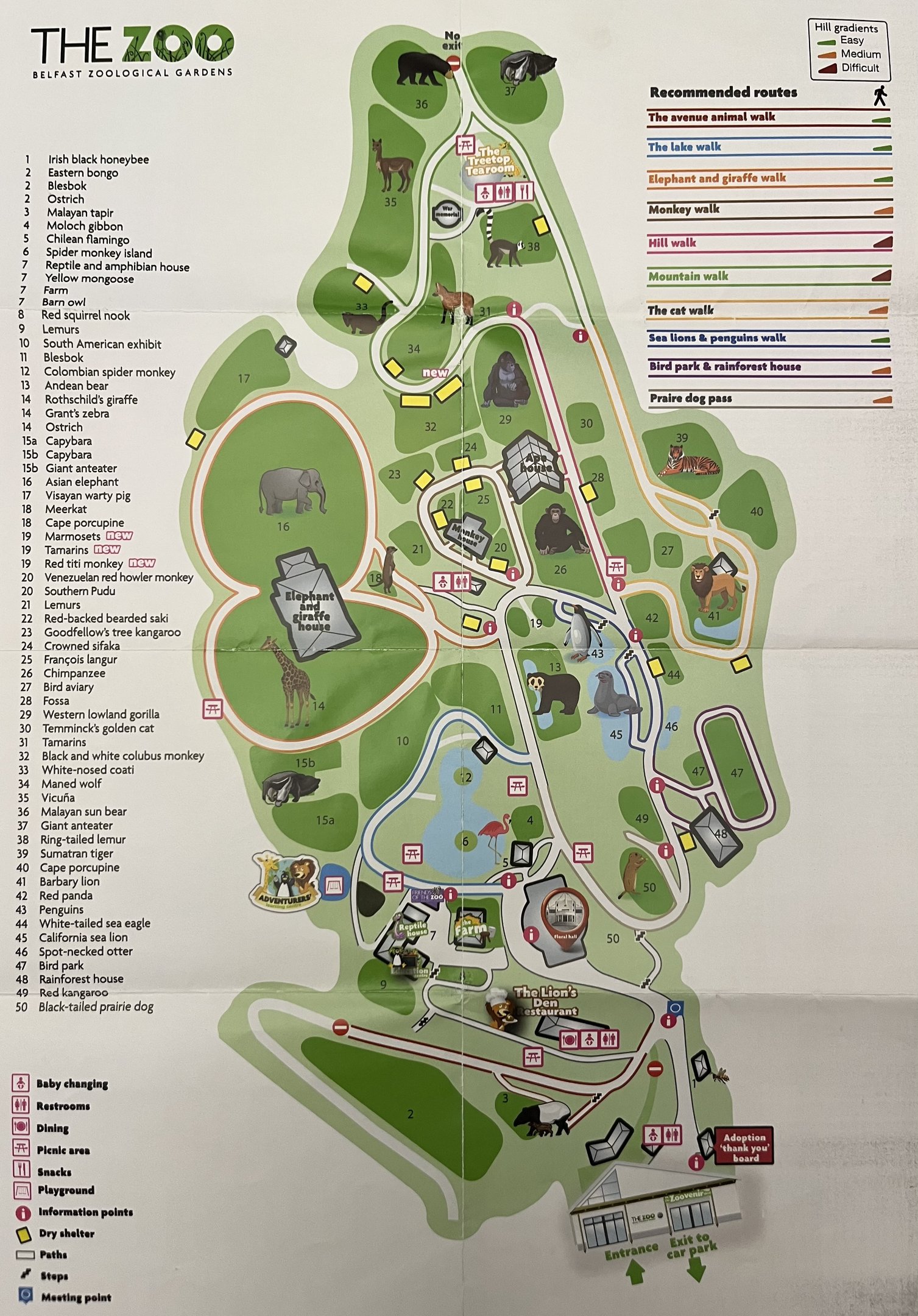 Zoo Map - 2018