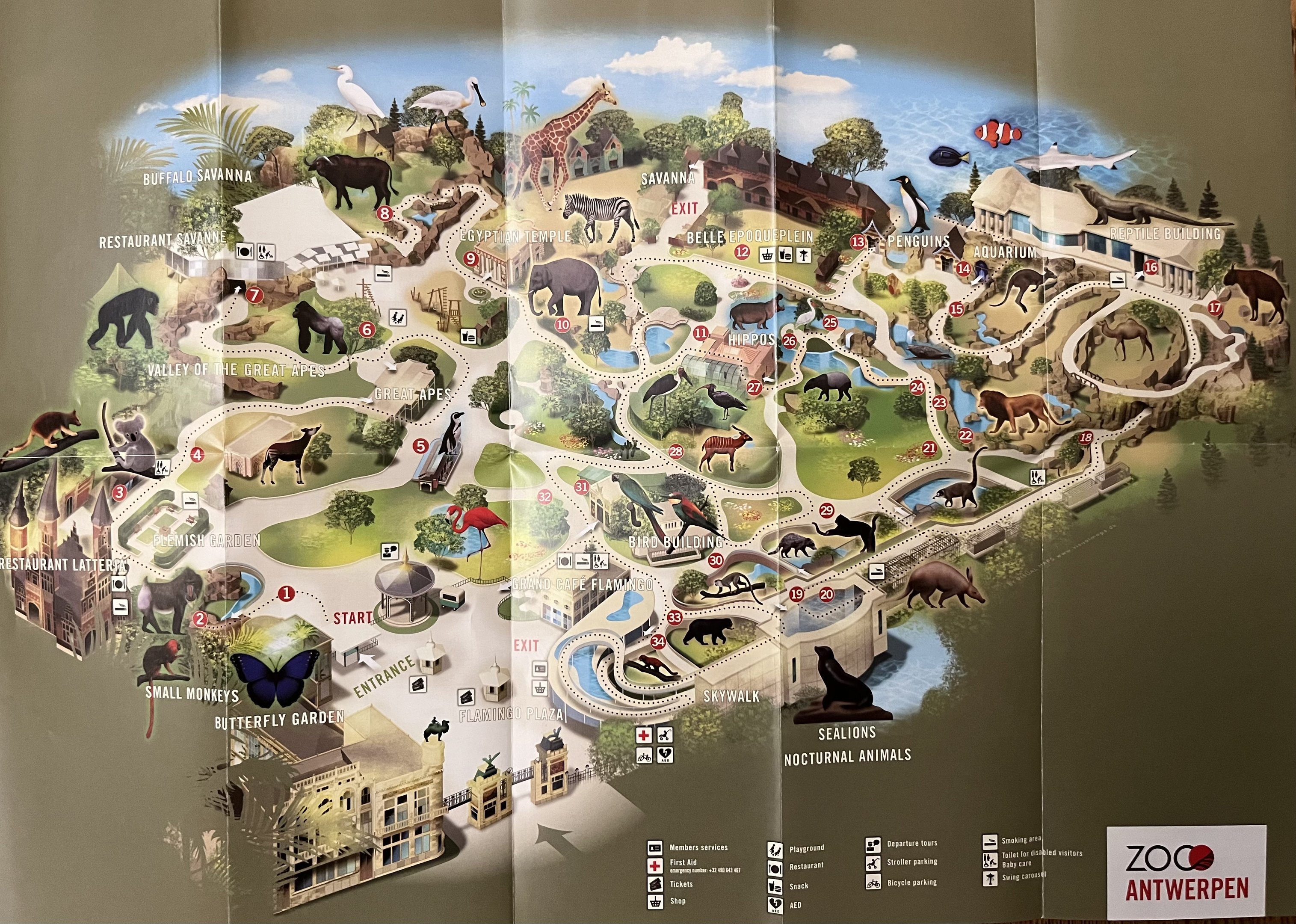 Zoo Map - 2019