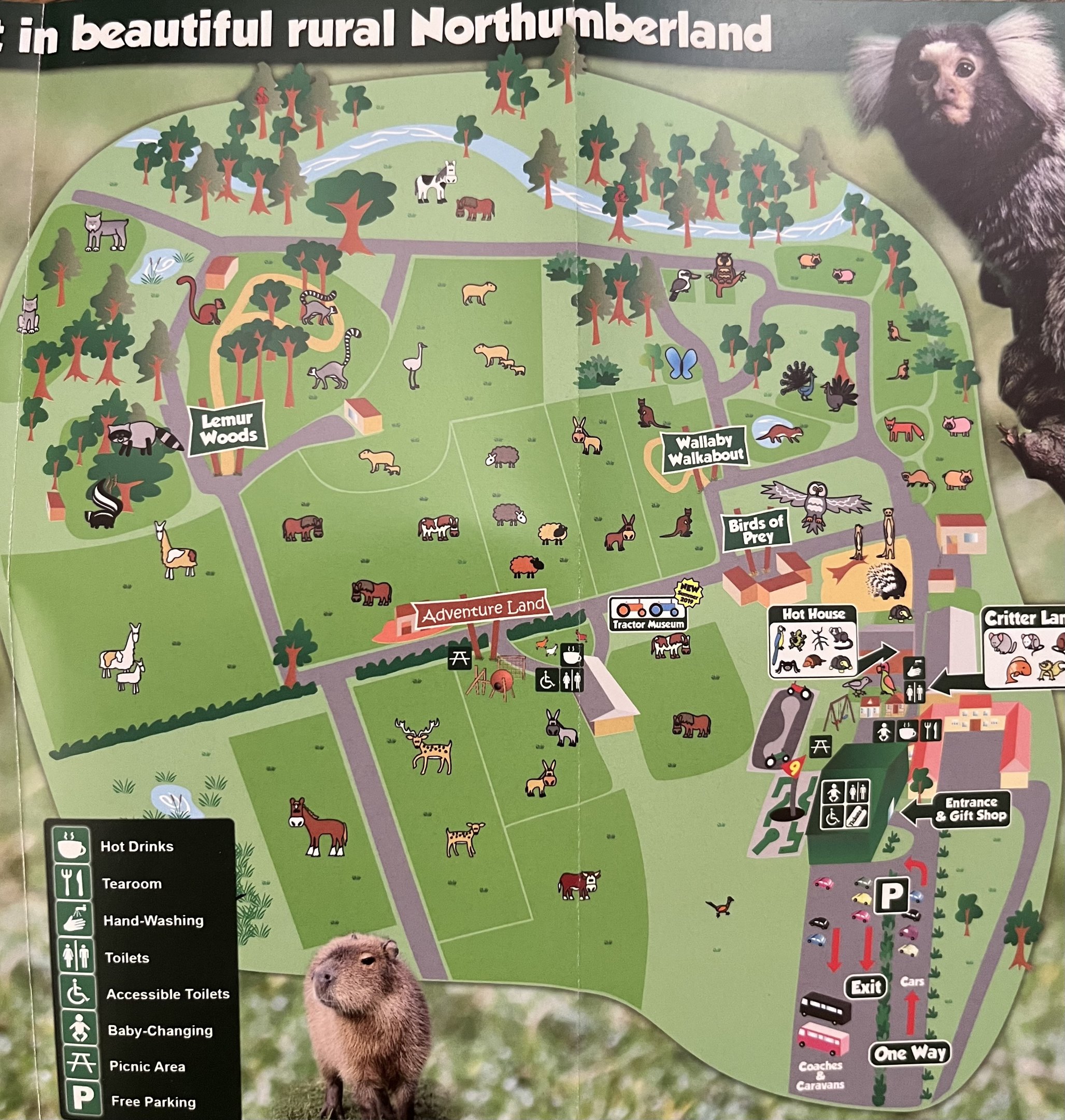 Zoo Map - 2019